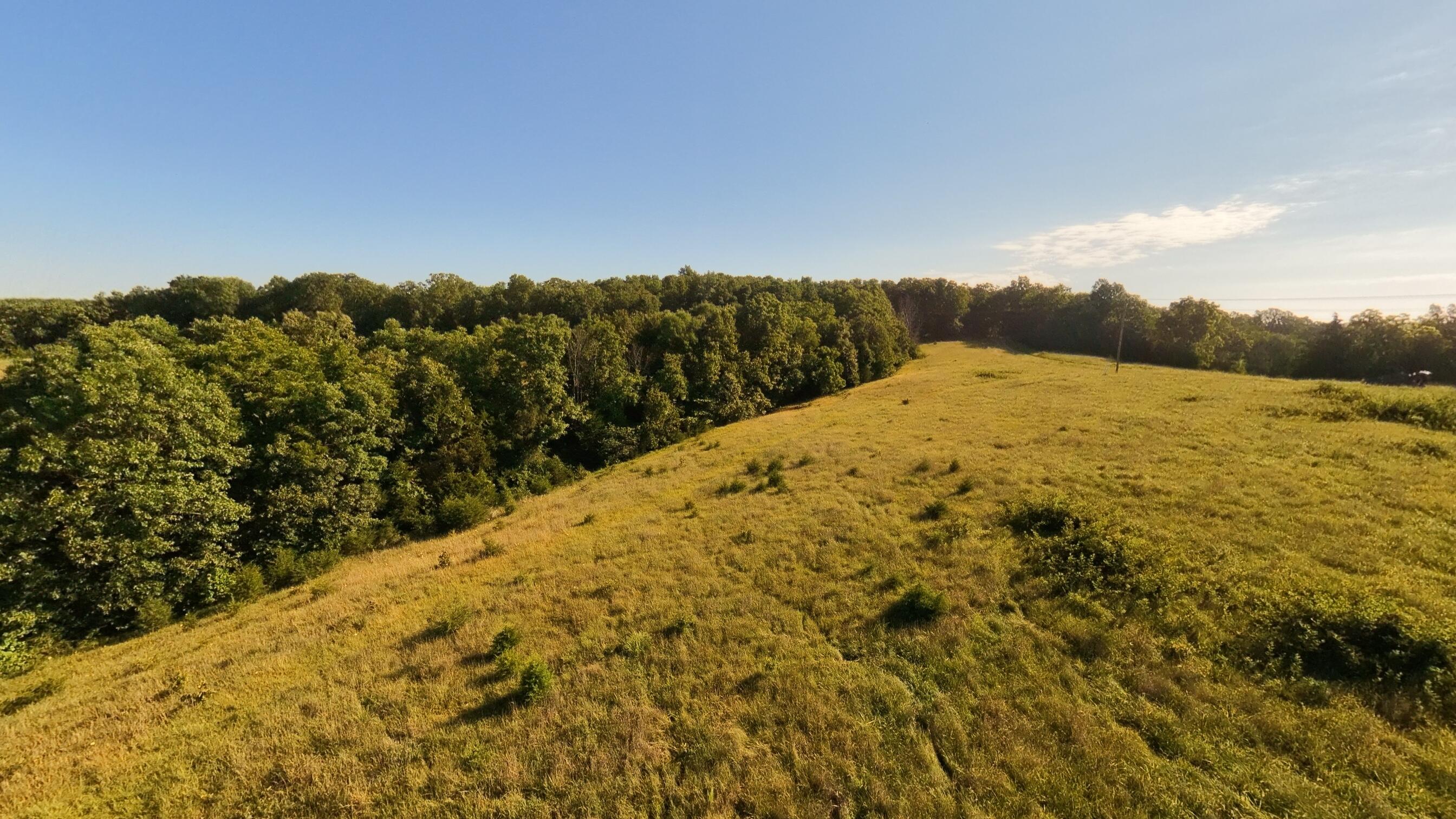 000 Foxden Drive Lot 2 Property Photo 7
