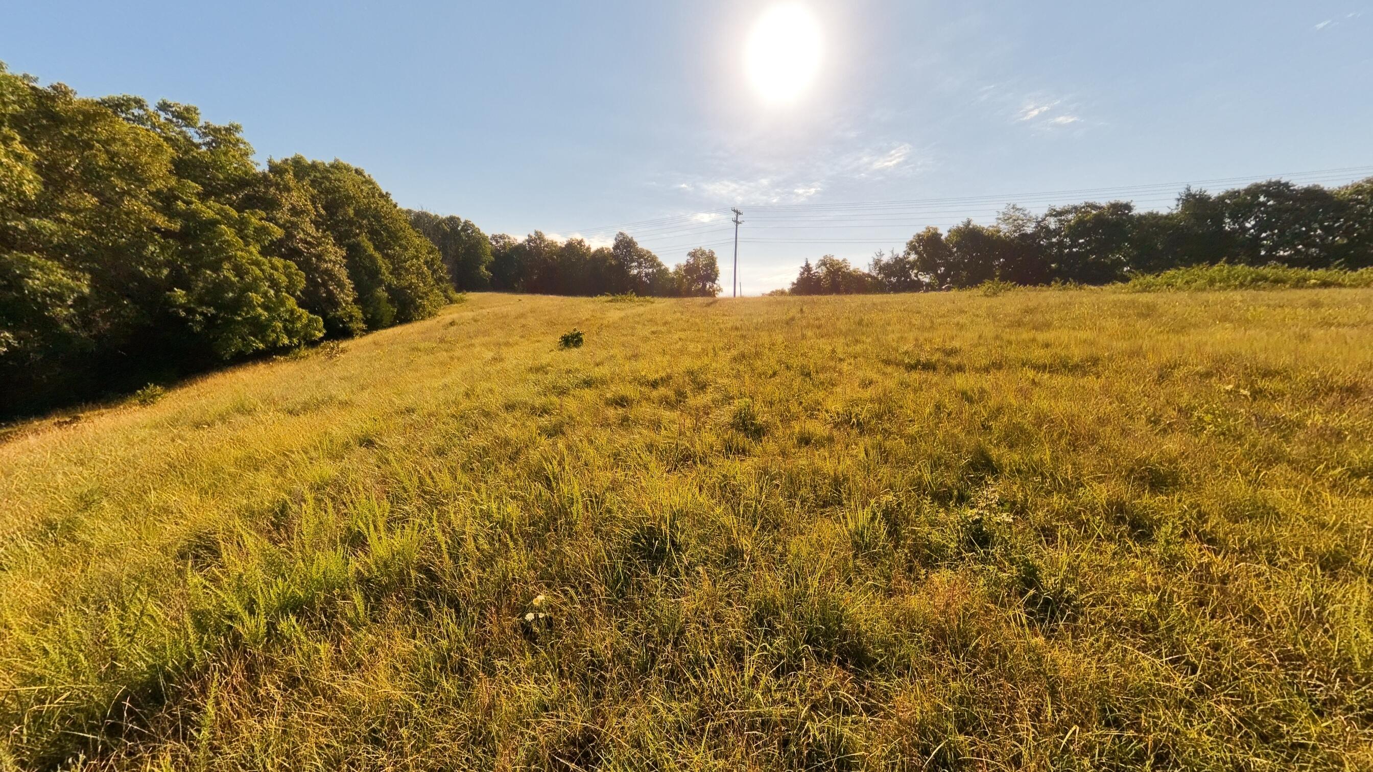 000 Foxden Drive Lot 3 Property Photo 3
