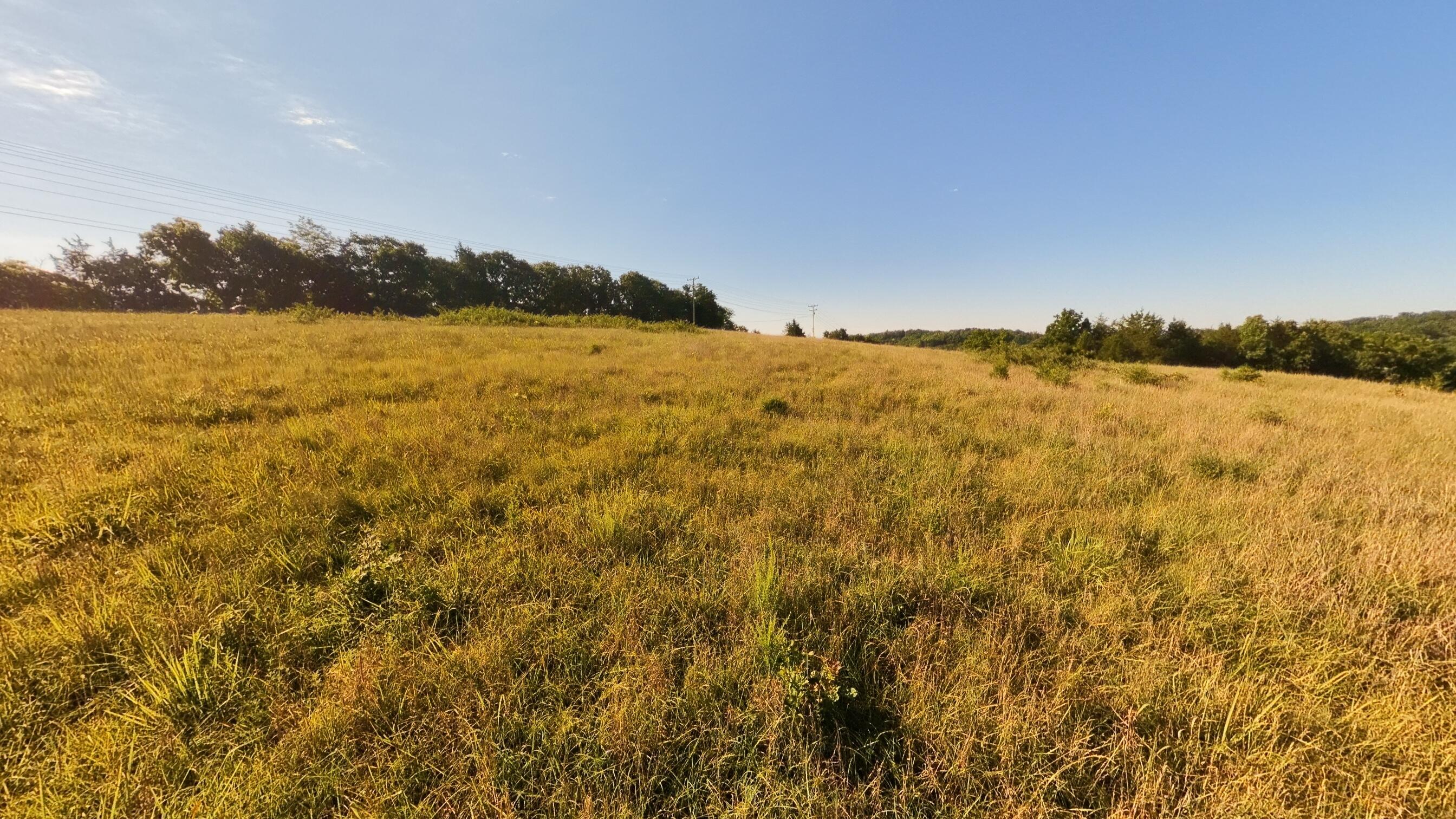 000 Foxden Drive Lot 3 Property Photo 4