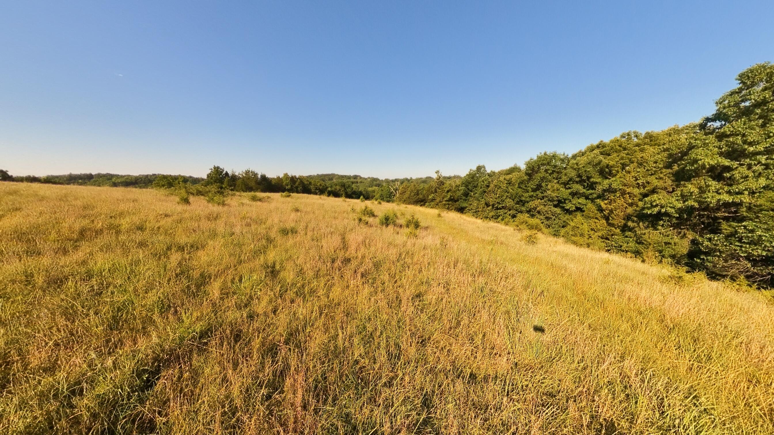 000 Foxden Drive Lot 3 Property Photo 5