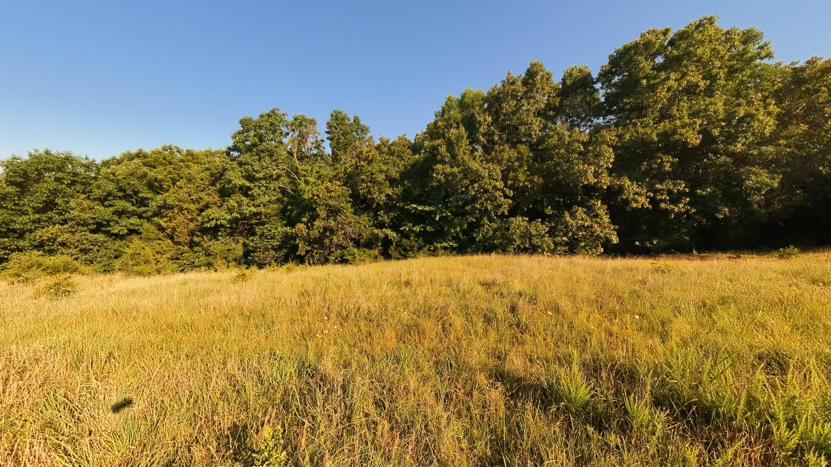 000 Foxden Drive Lot 3 Property Photo 6
