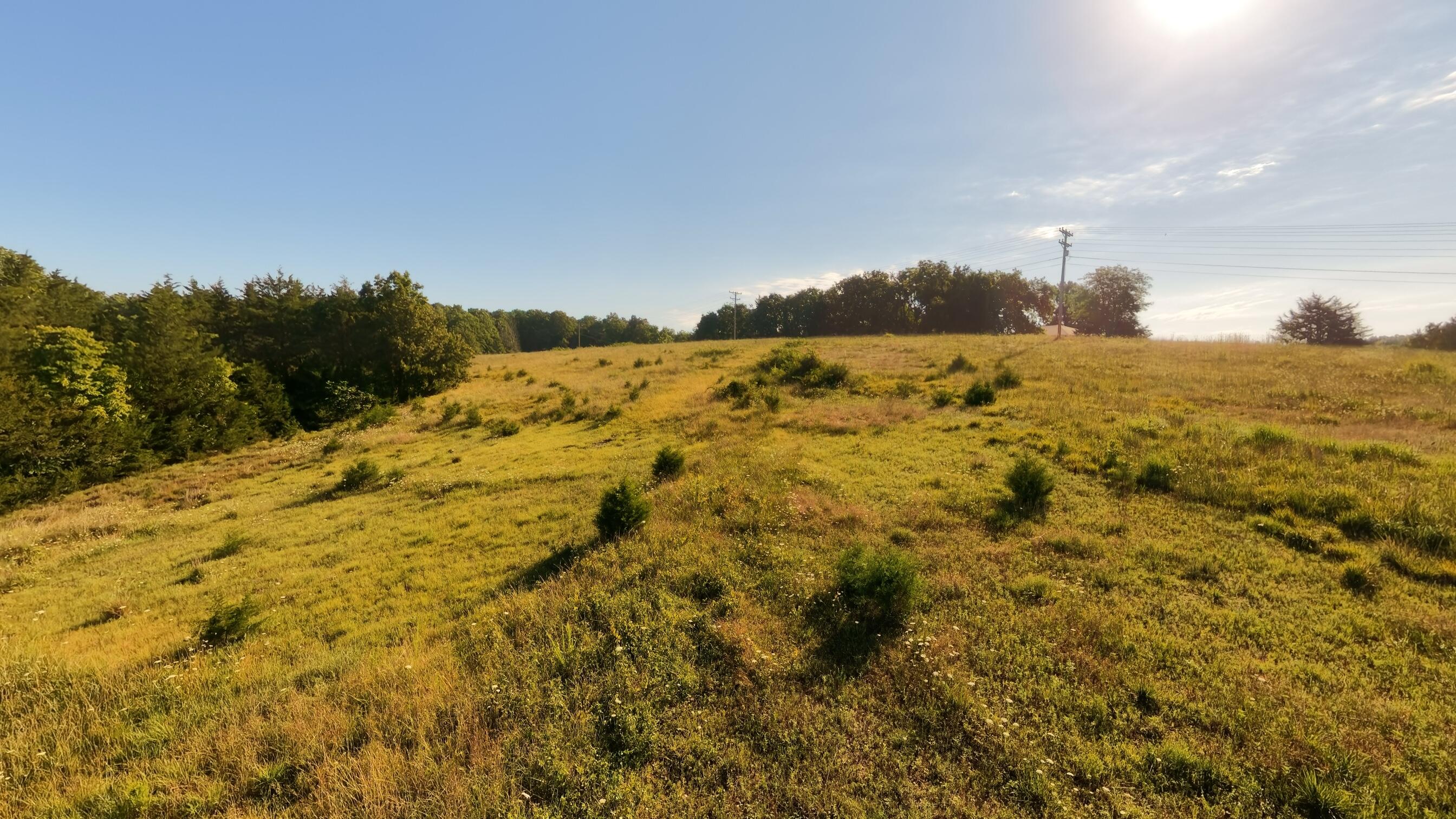 000 Foxden Drive Lot 3 Property Photo 7