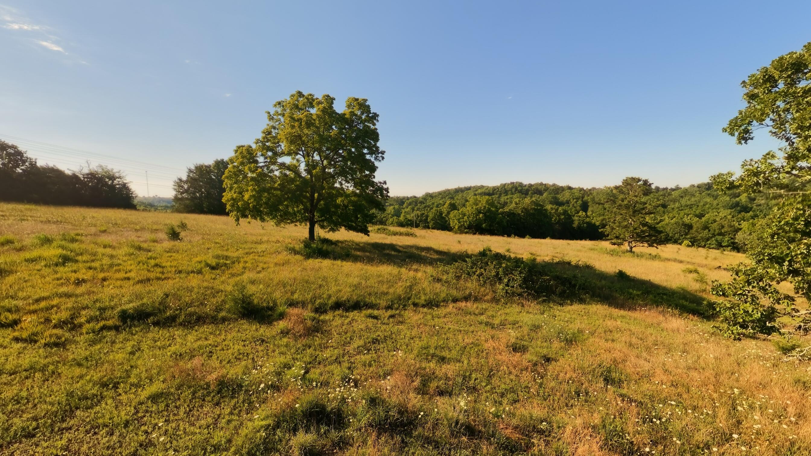 000 Foxden Drive Lot 3 Property Photo 8