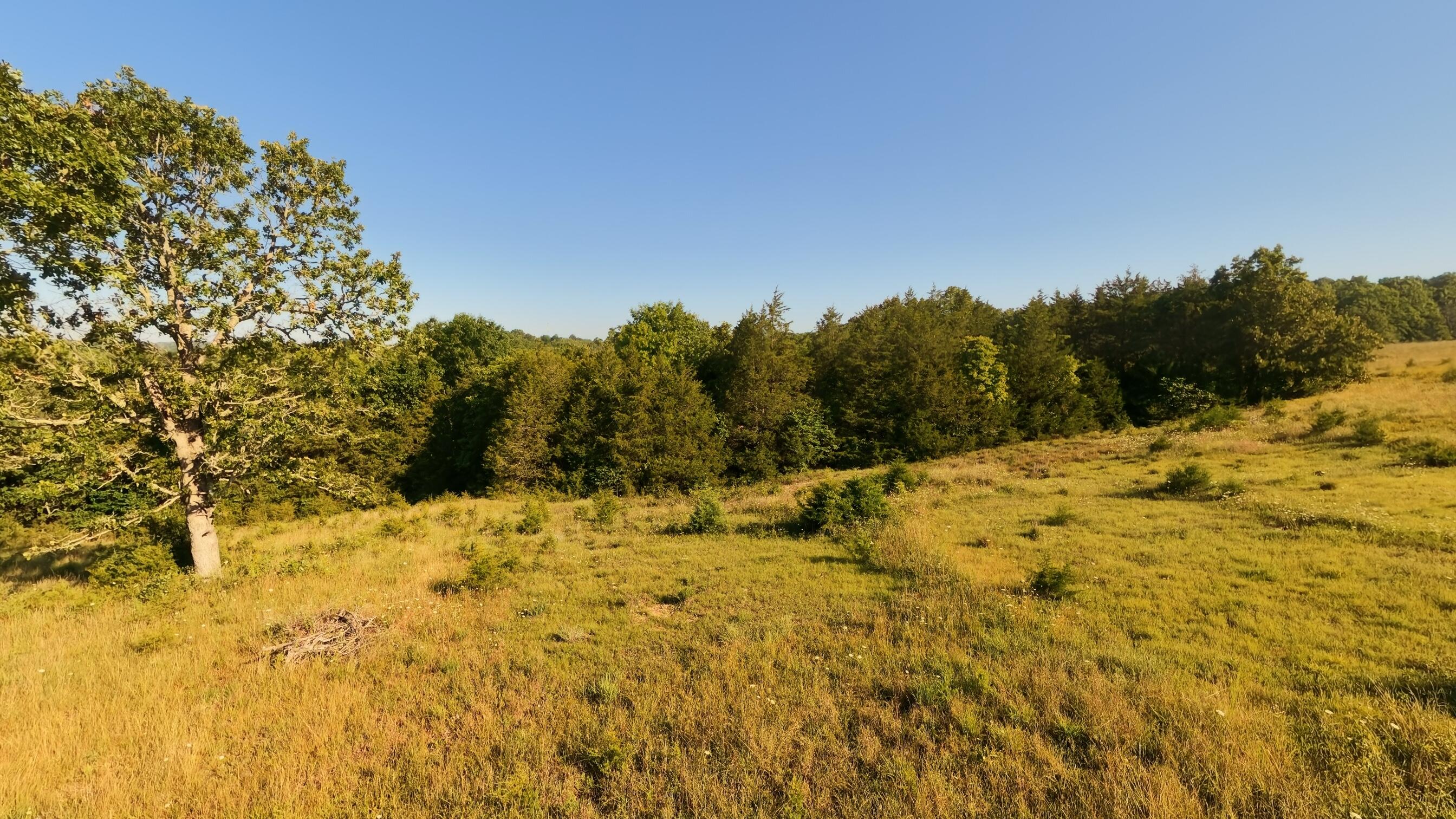 000 Foxden Drive Lot 3 Property Photo 10