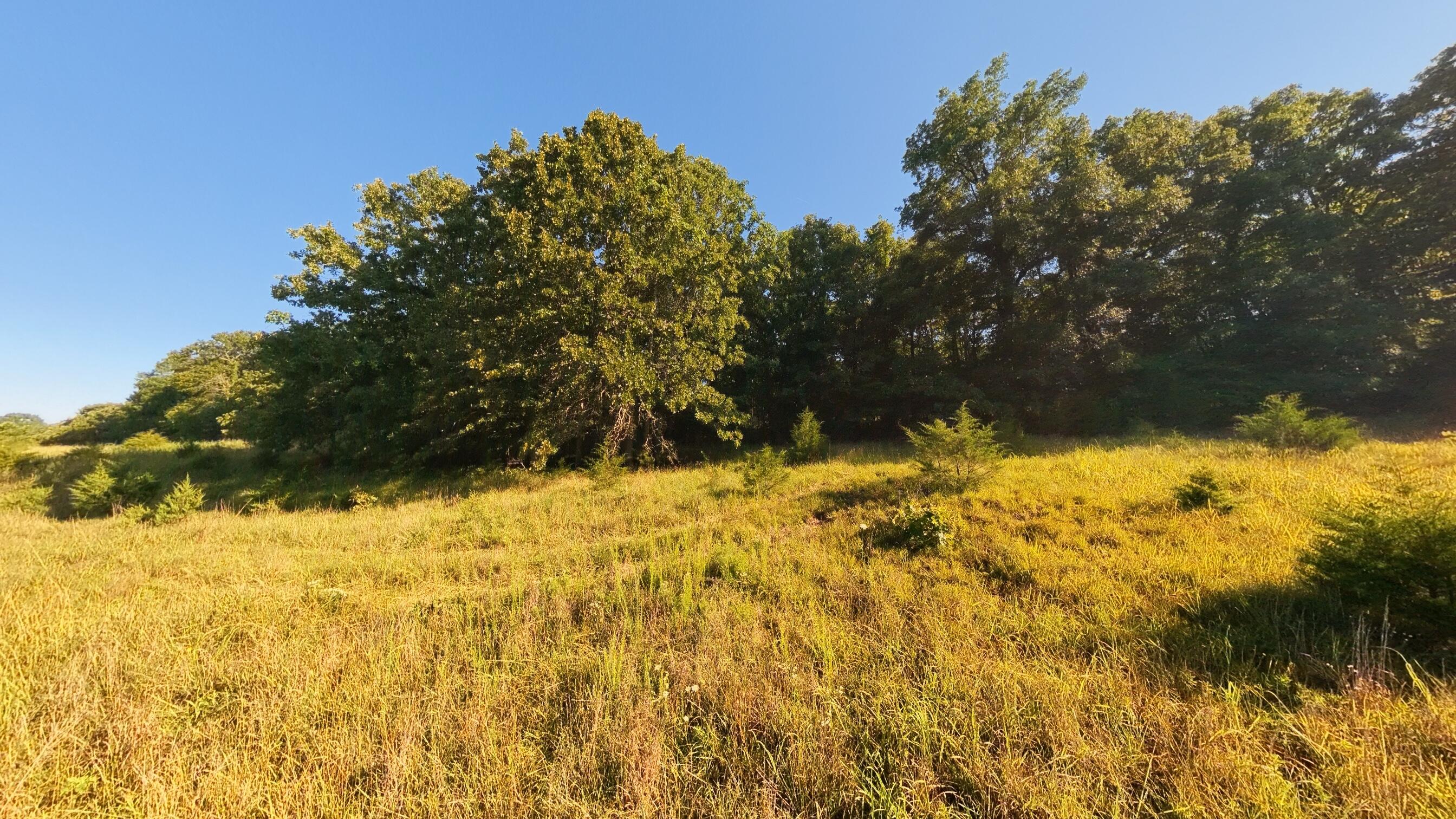 000 Foxden Drive Lot 4 Property Photo 4