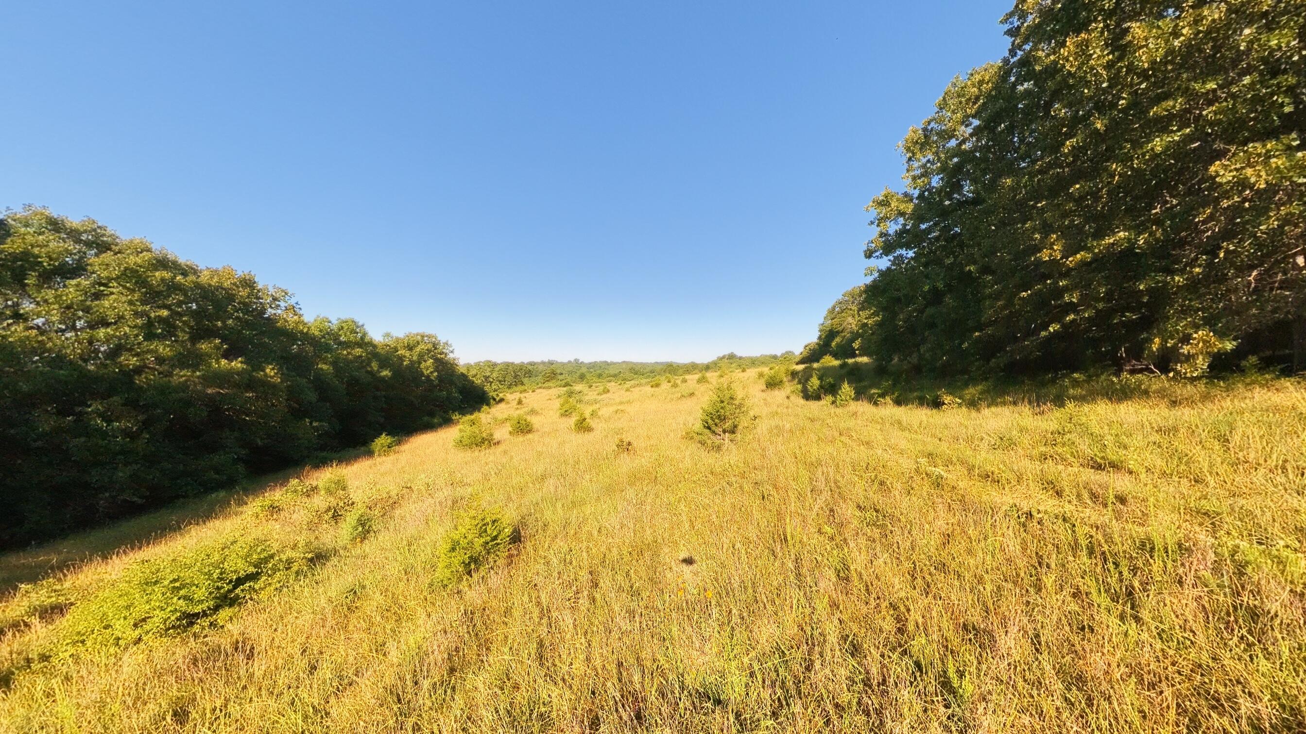 000 Foxden Drive Lot 4 Property Photo 5