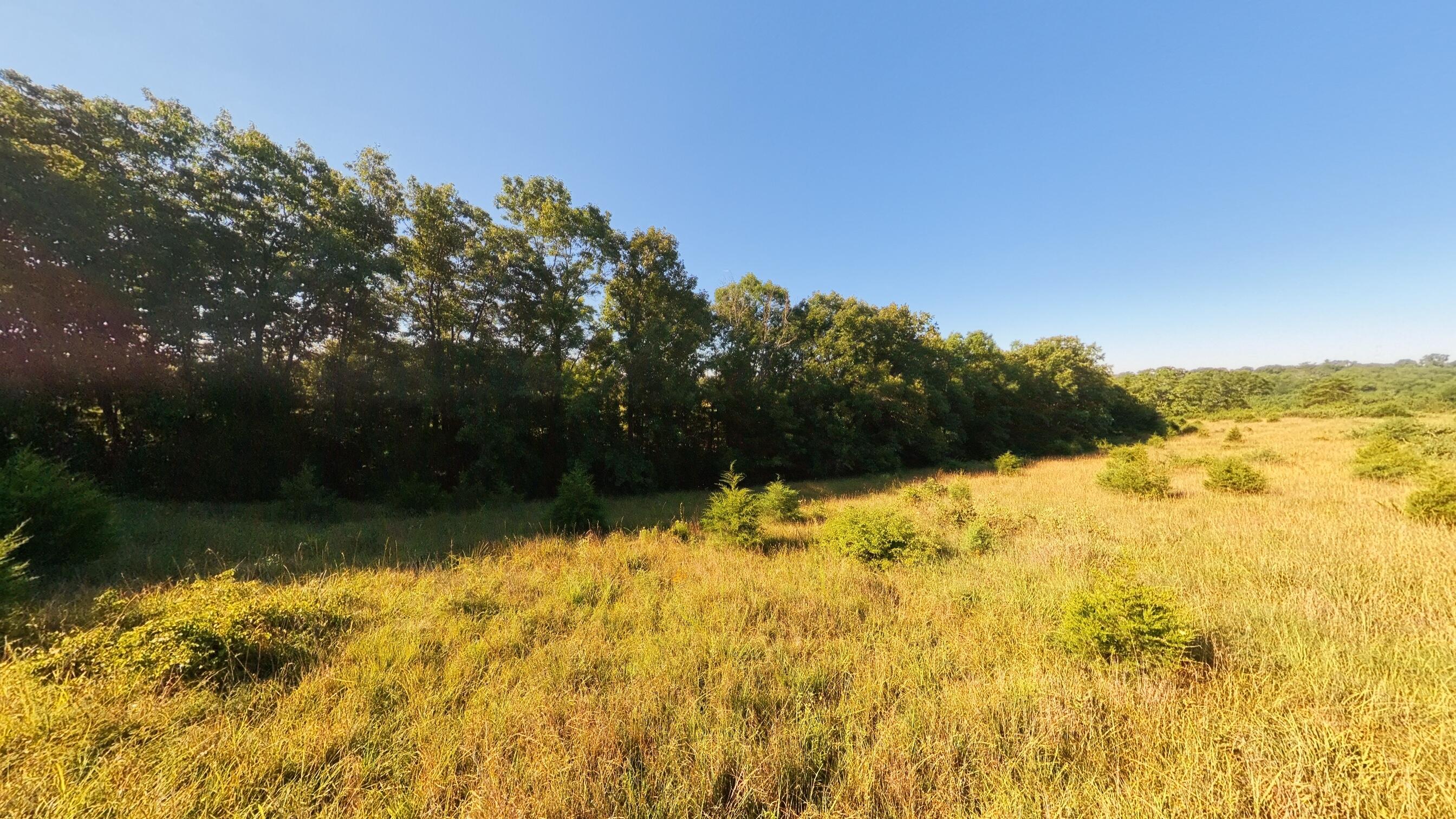 000 Foxden Drive Lot 4 Property Photo 6