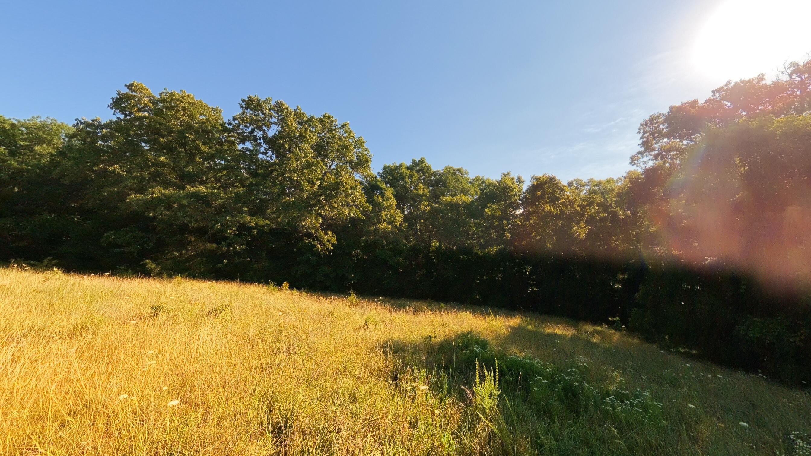 000 Foxden Drive Lot 4 Property Photo 8