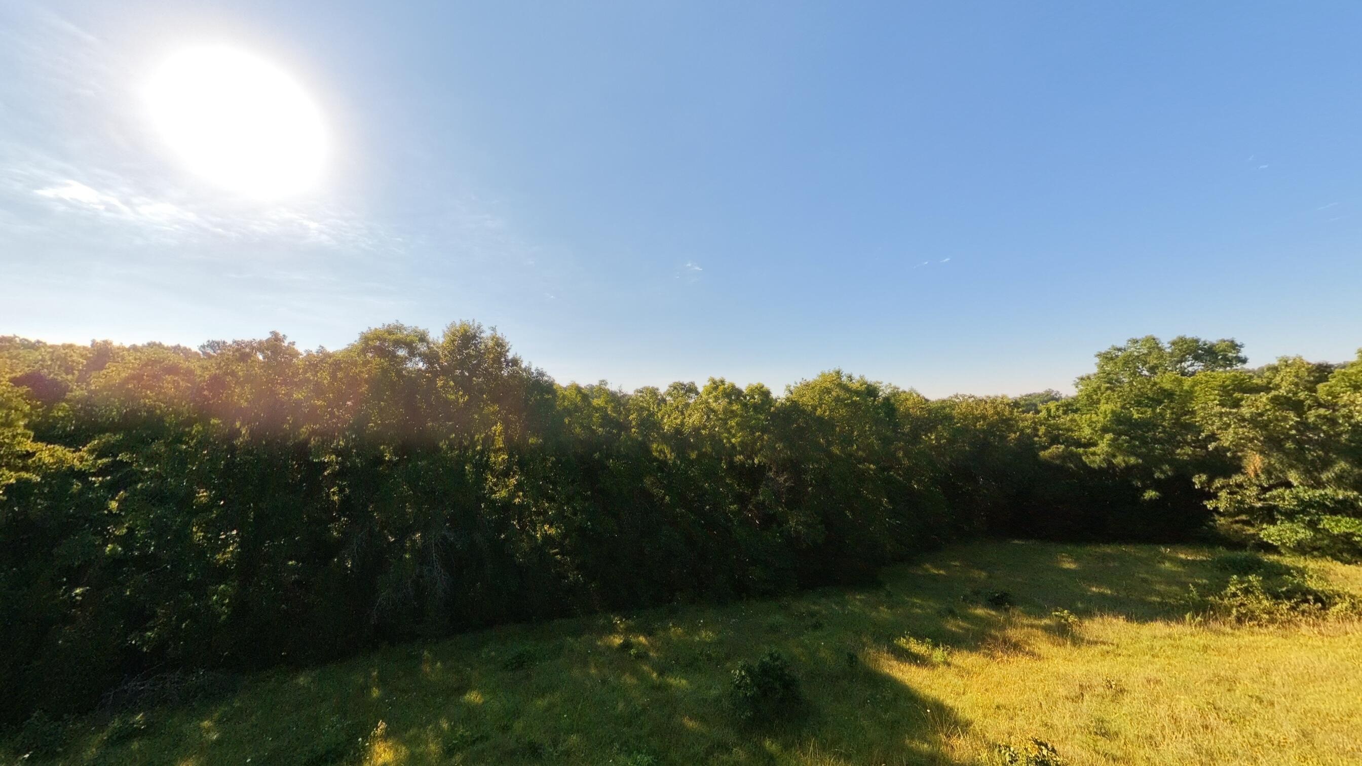 000 Foxden Drive Lot 4 Property Photo 9