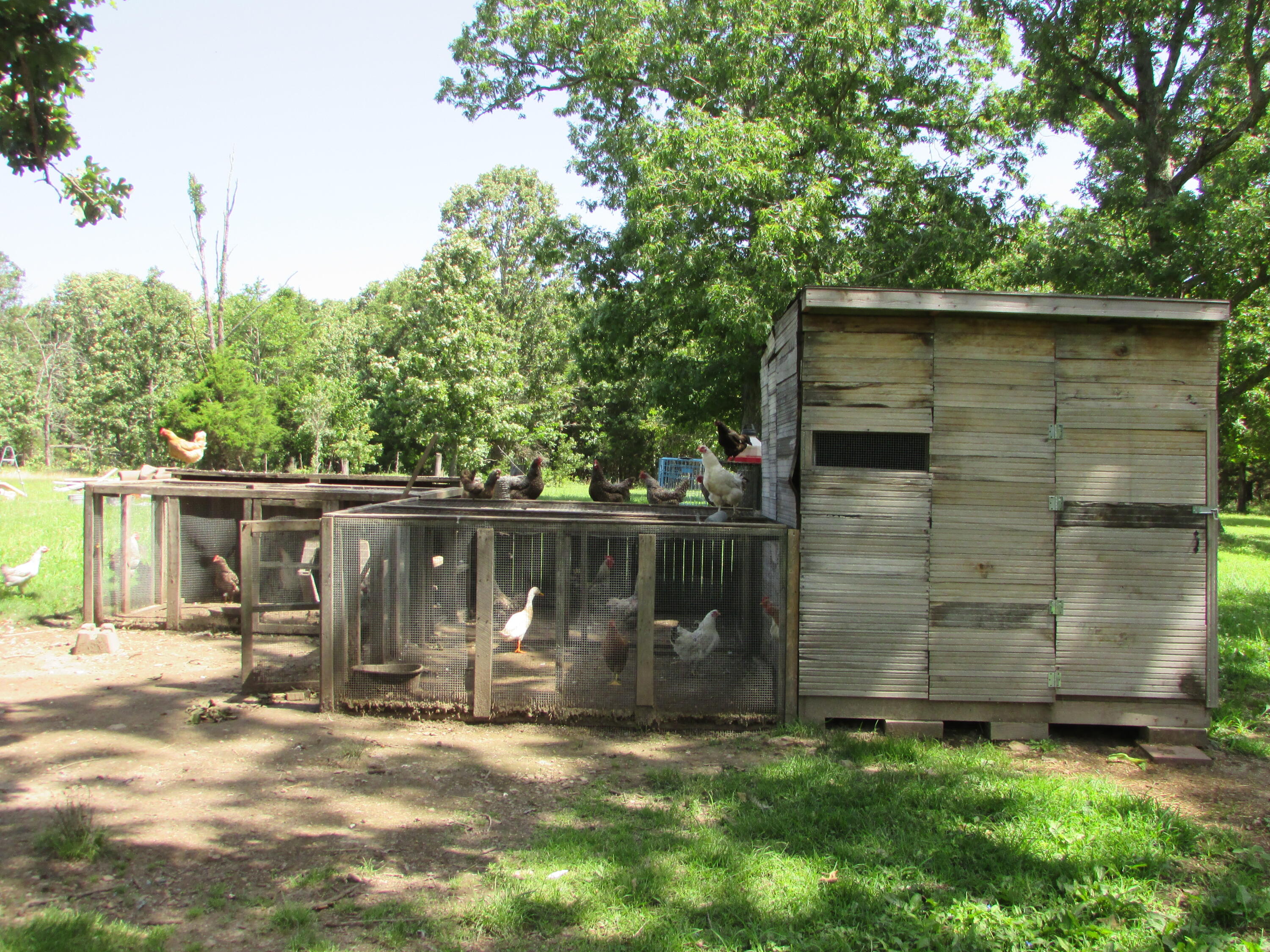 1315 Summit Road Property Photo 10