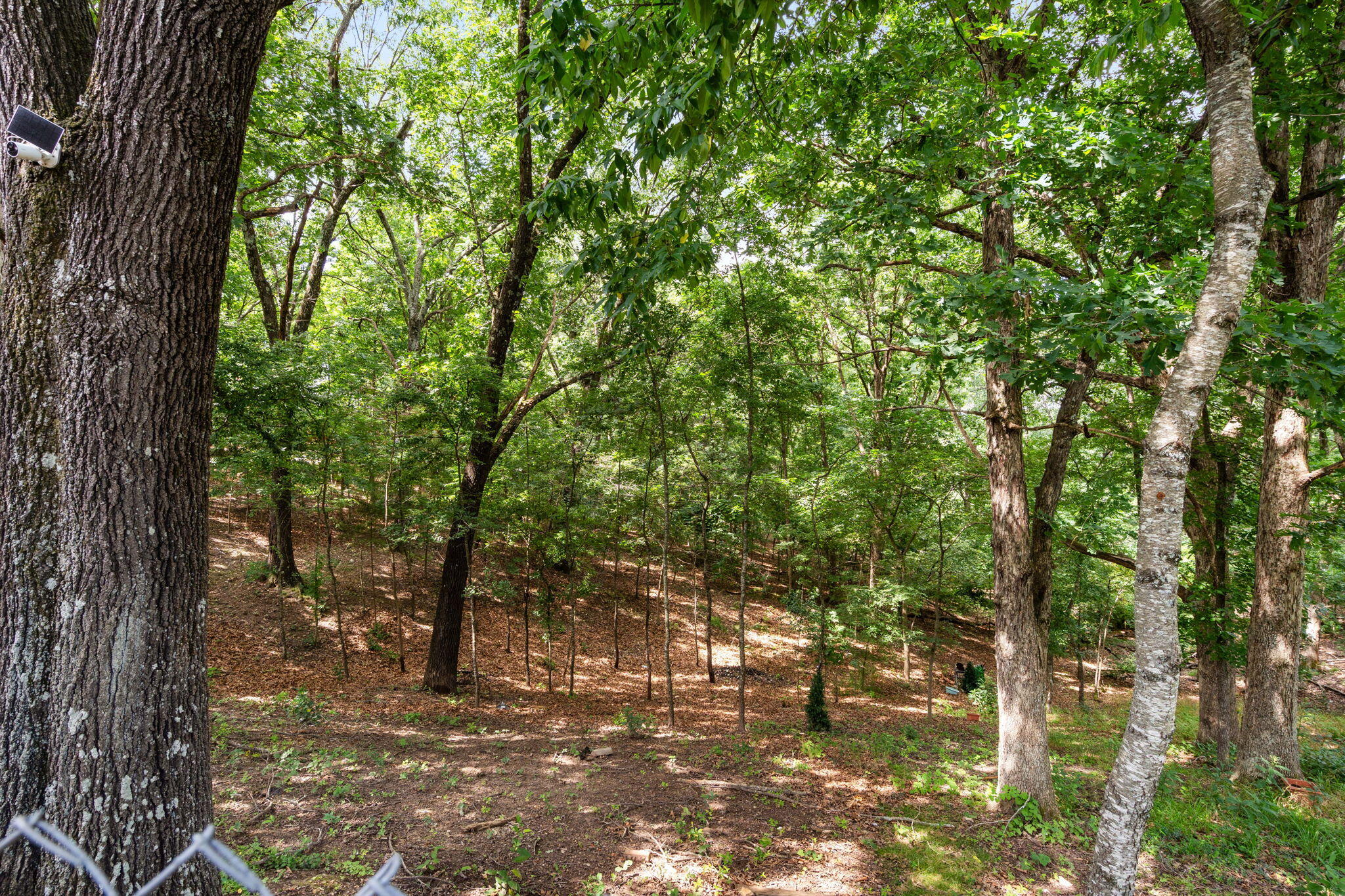8 Northwoods Drive Property Photo 32