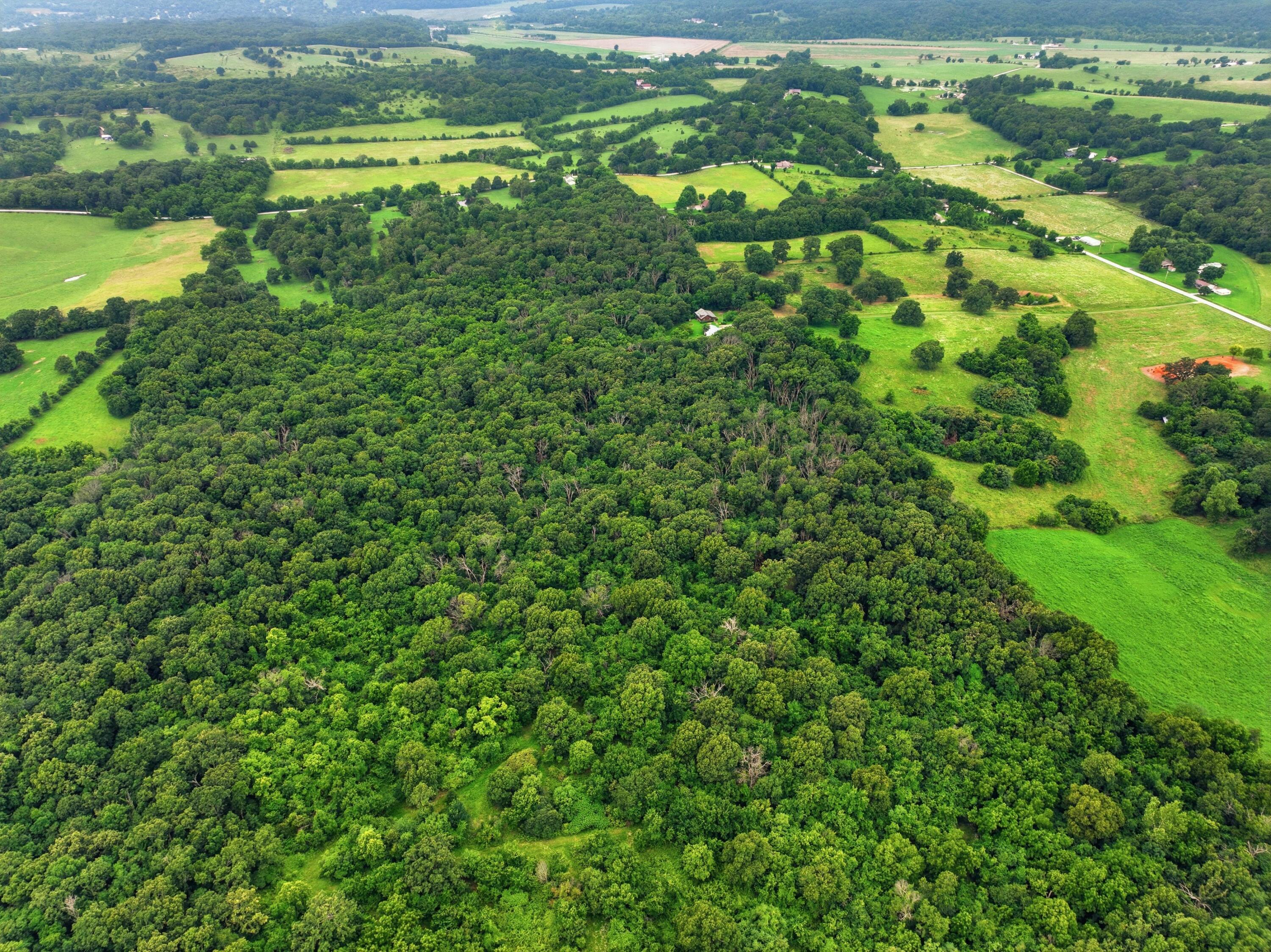 17083 Kentucky Road Property Photo 68