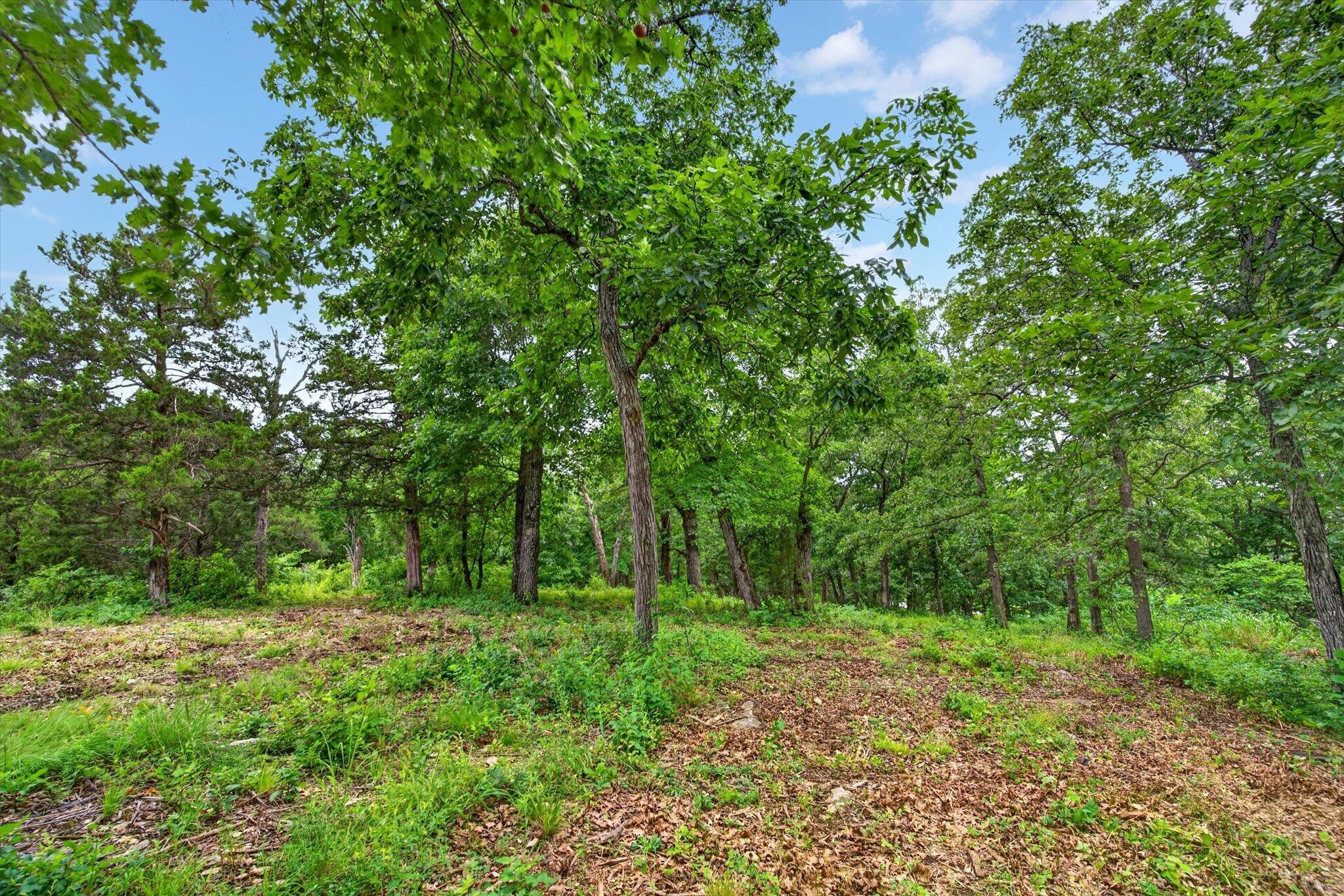 24164 State Highway 254 Property Photo 3