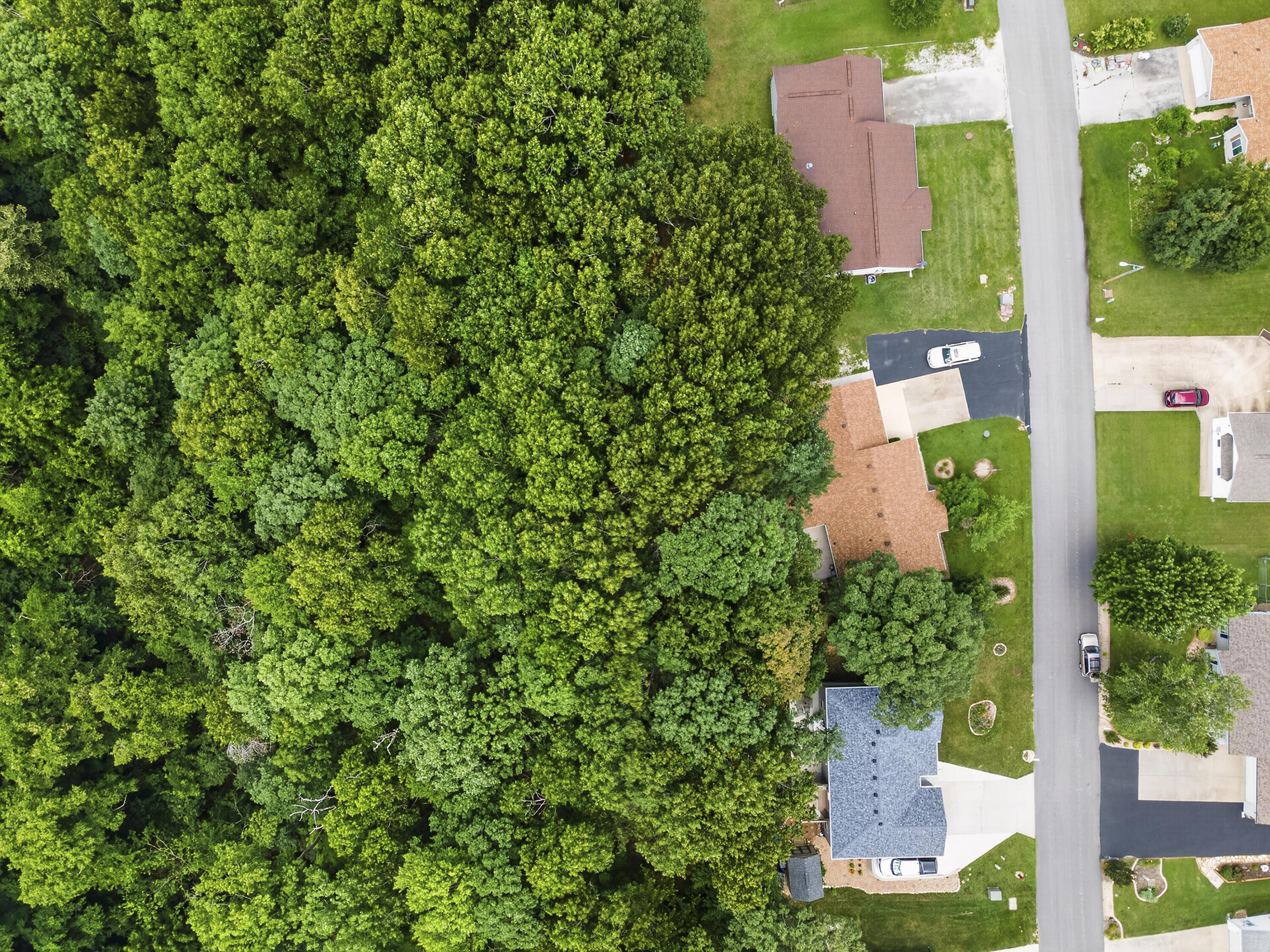 211 North Catamount Boulevard Property Photo 41
