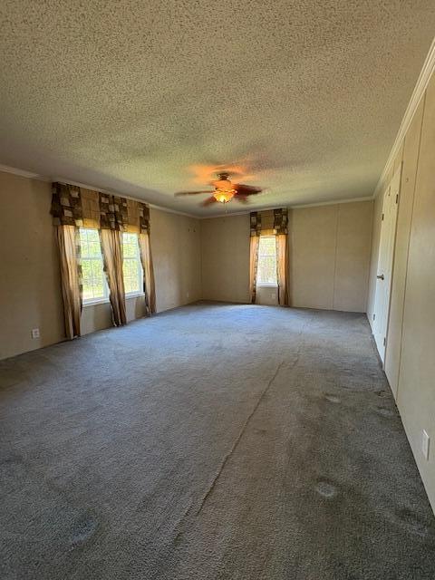 64 Inman Drive Property Photo 13