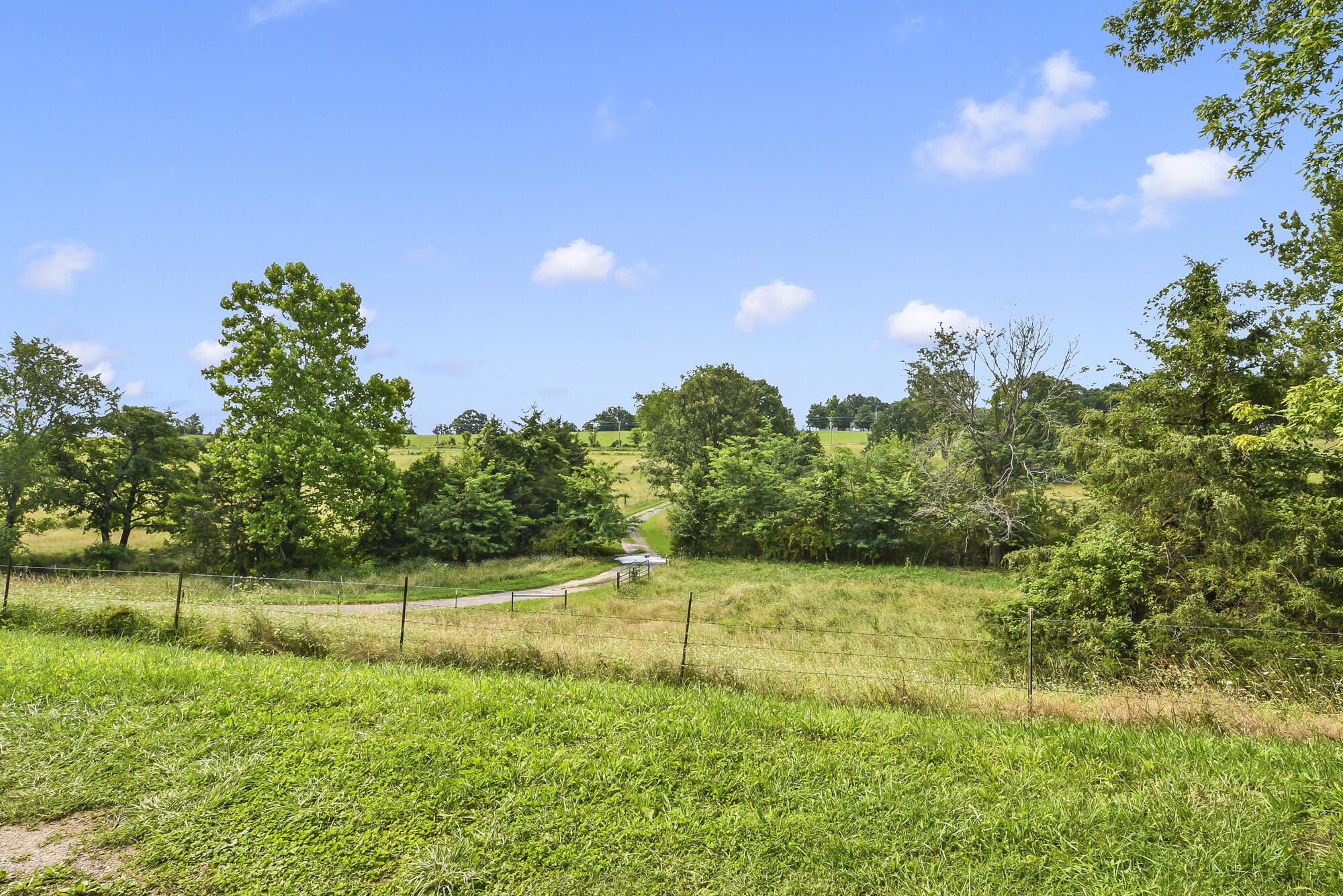 2209 State Highway Dd Property Photo 4
