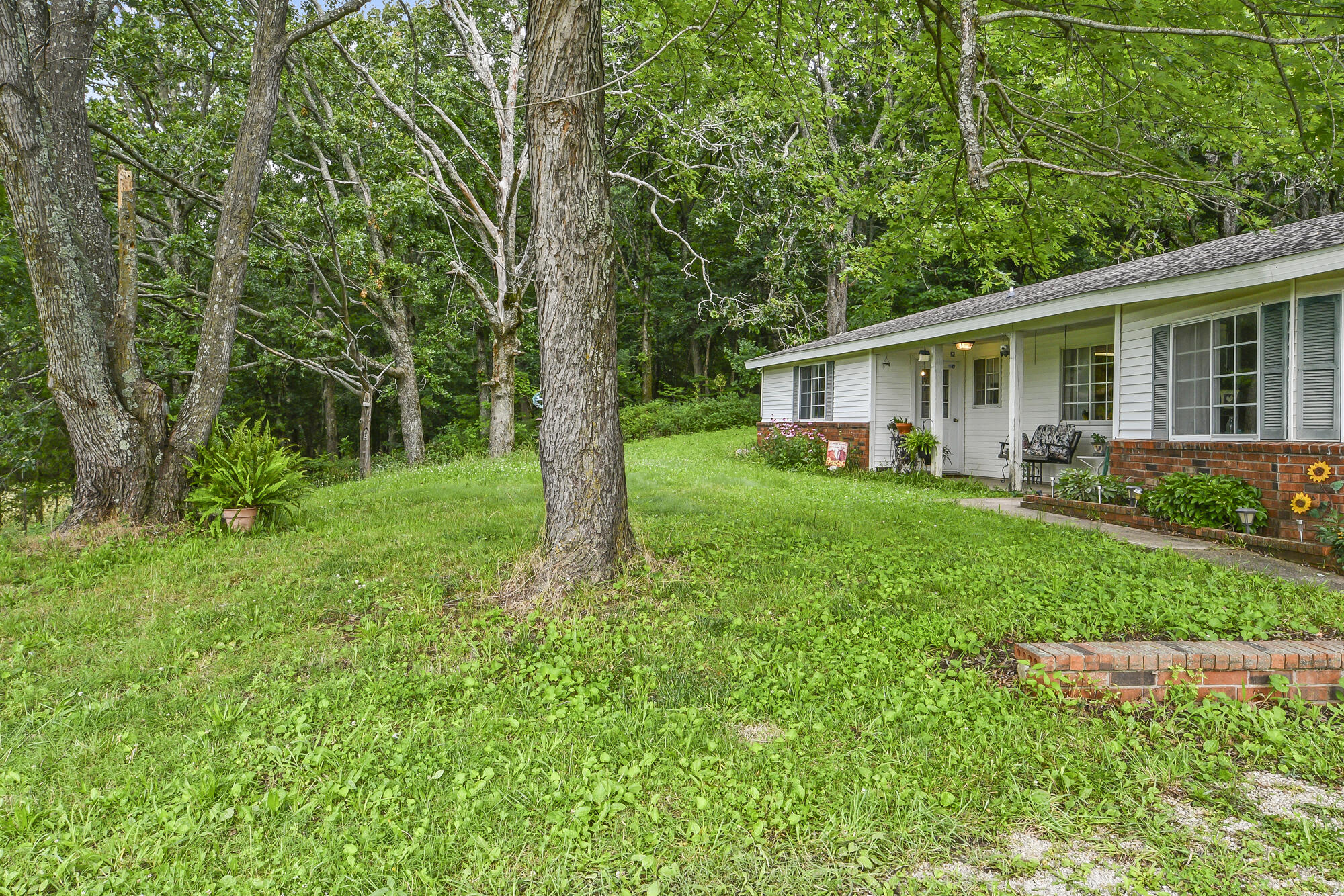 2209 State Highway Dd Property Photo 9