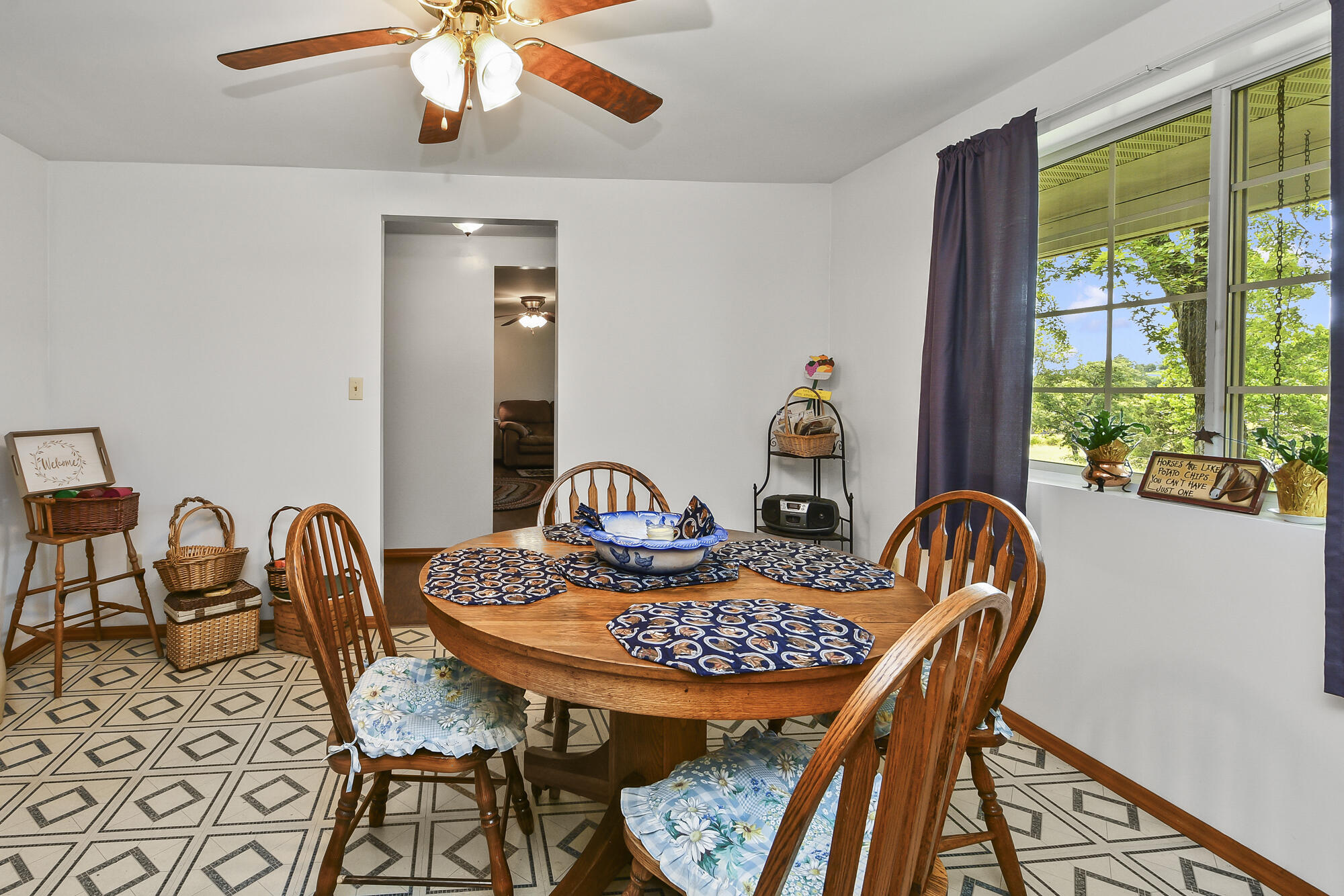 2209 State Highway Dd Property Photo 18