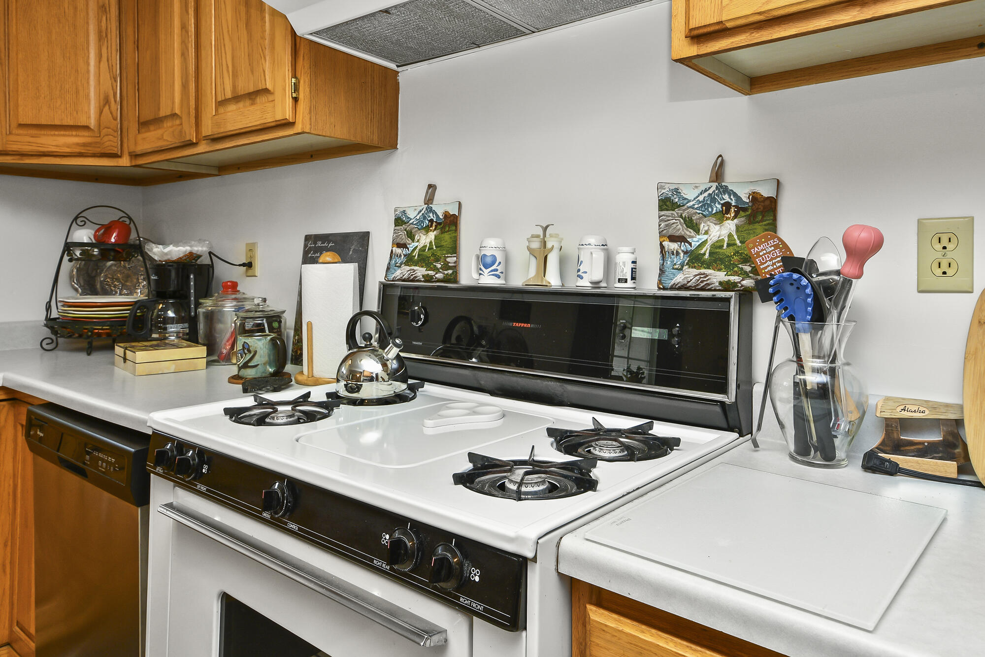 2209 State Highway Dd Property Photo 22