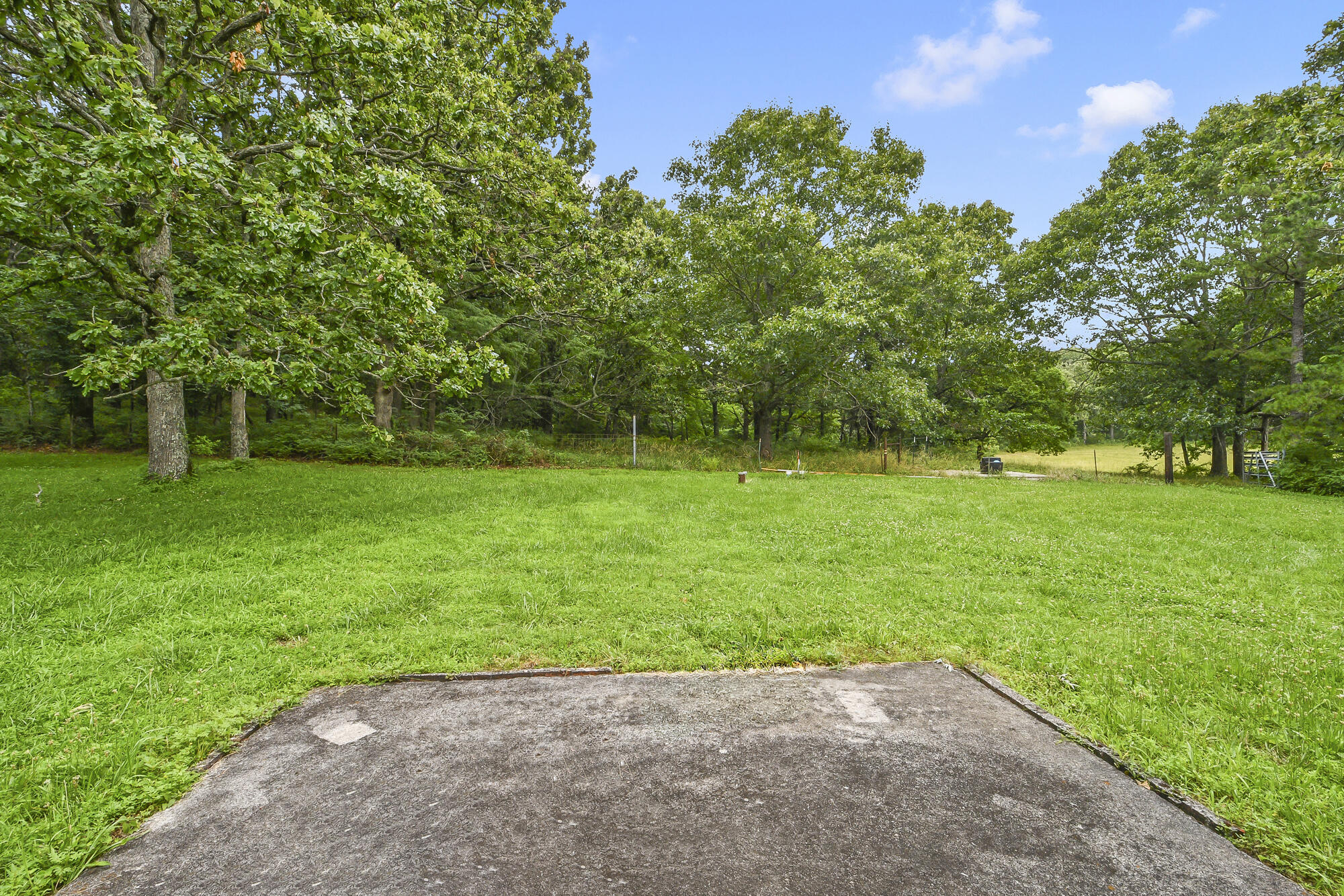 2209 State Highway Dd Property Photo 46