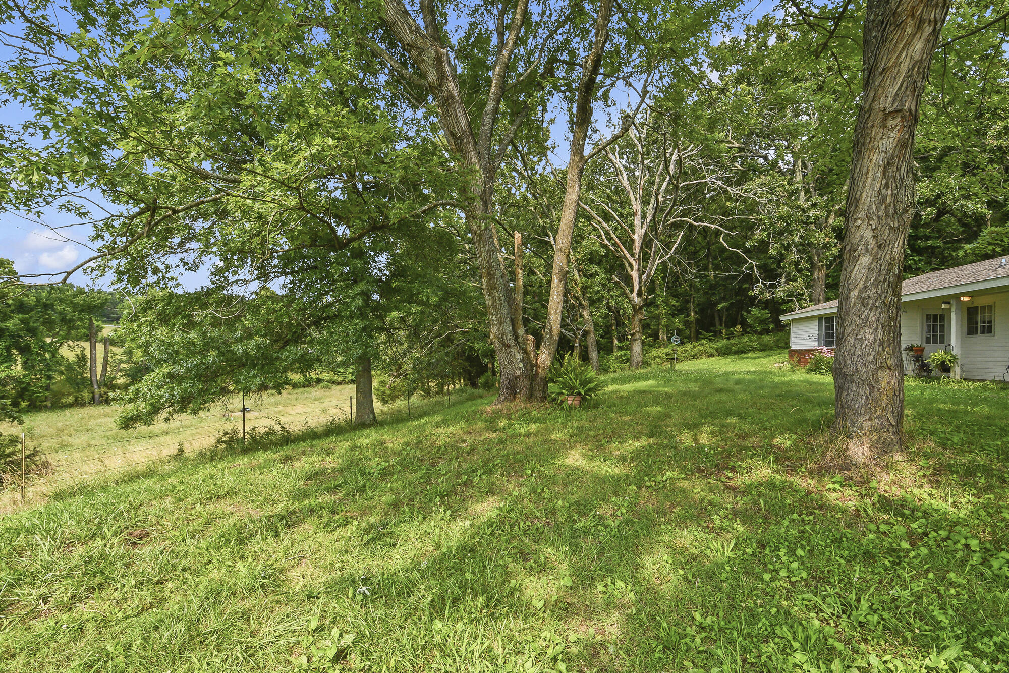 2209 State Highway Dd Property Photo 6