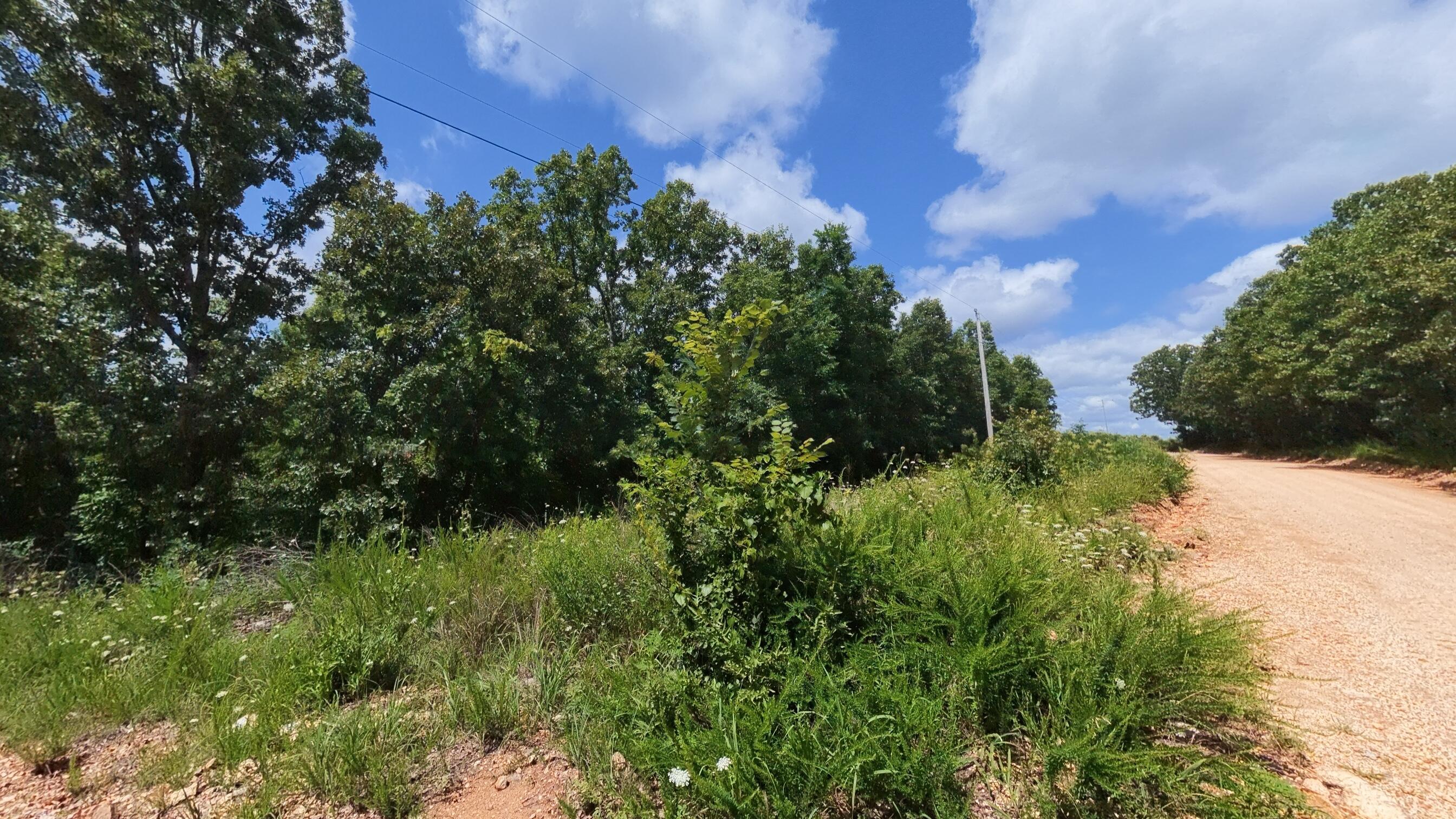 000 Ridgehaven Road Property Photo 16