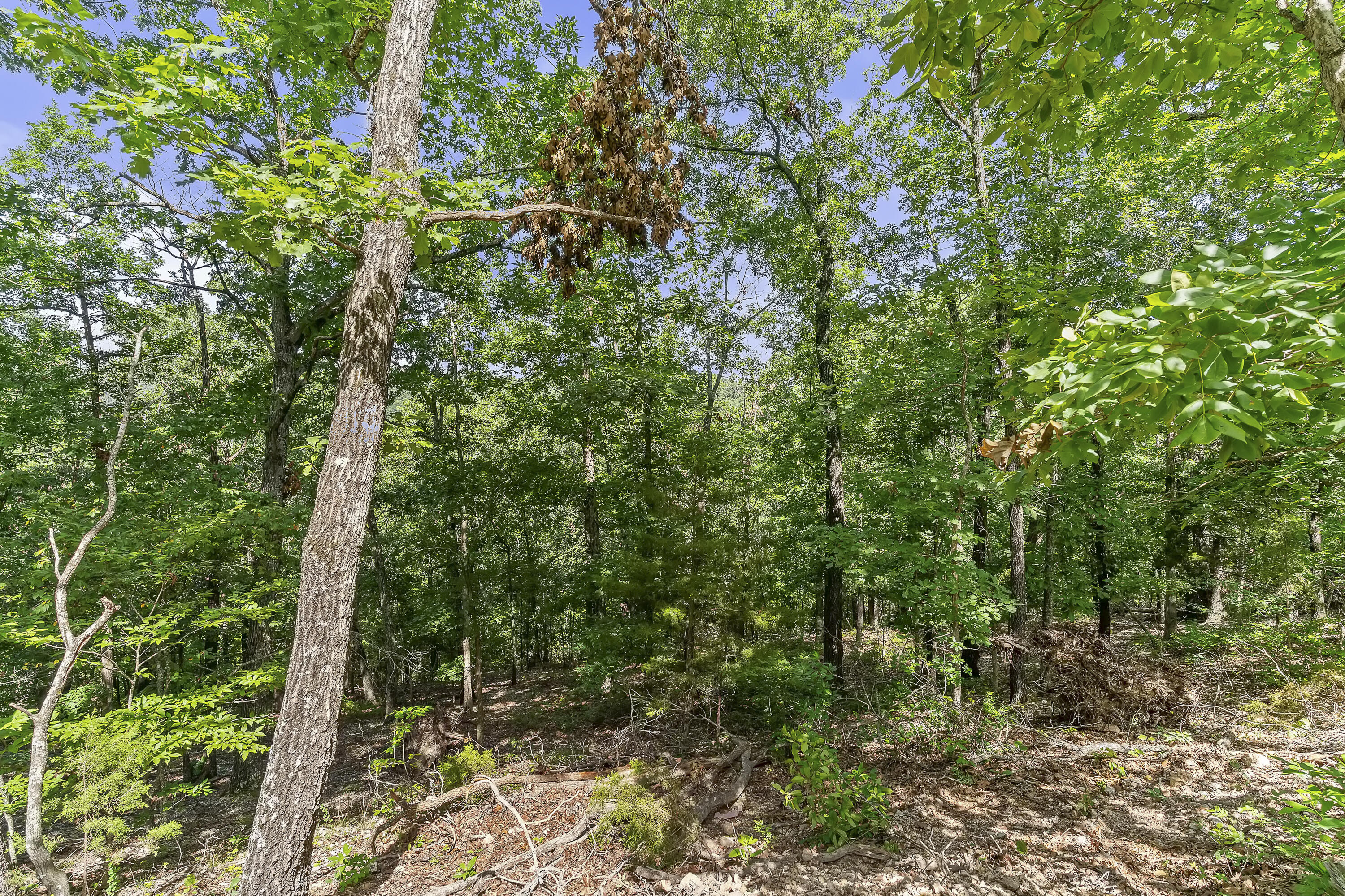 329 North Ridge Place Property Photo 47