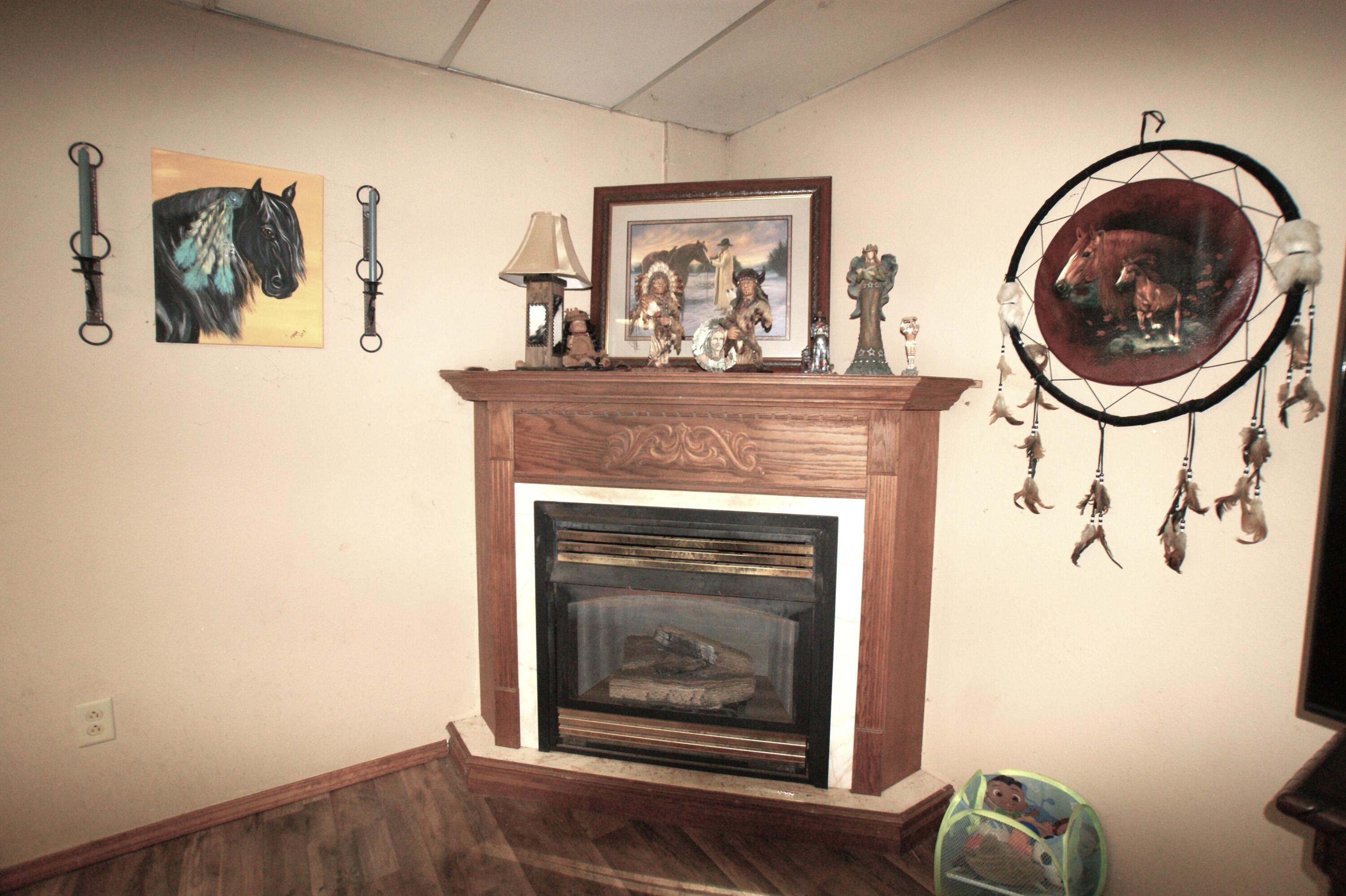 20599 Mink Drive Property Photo 32
