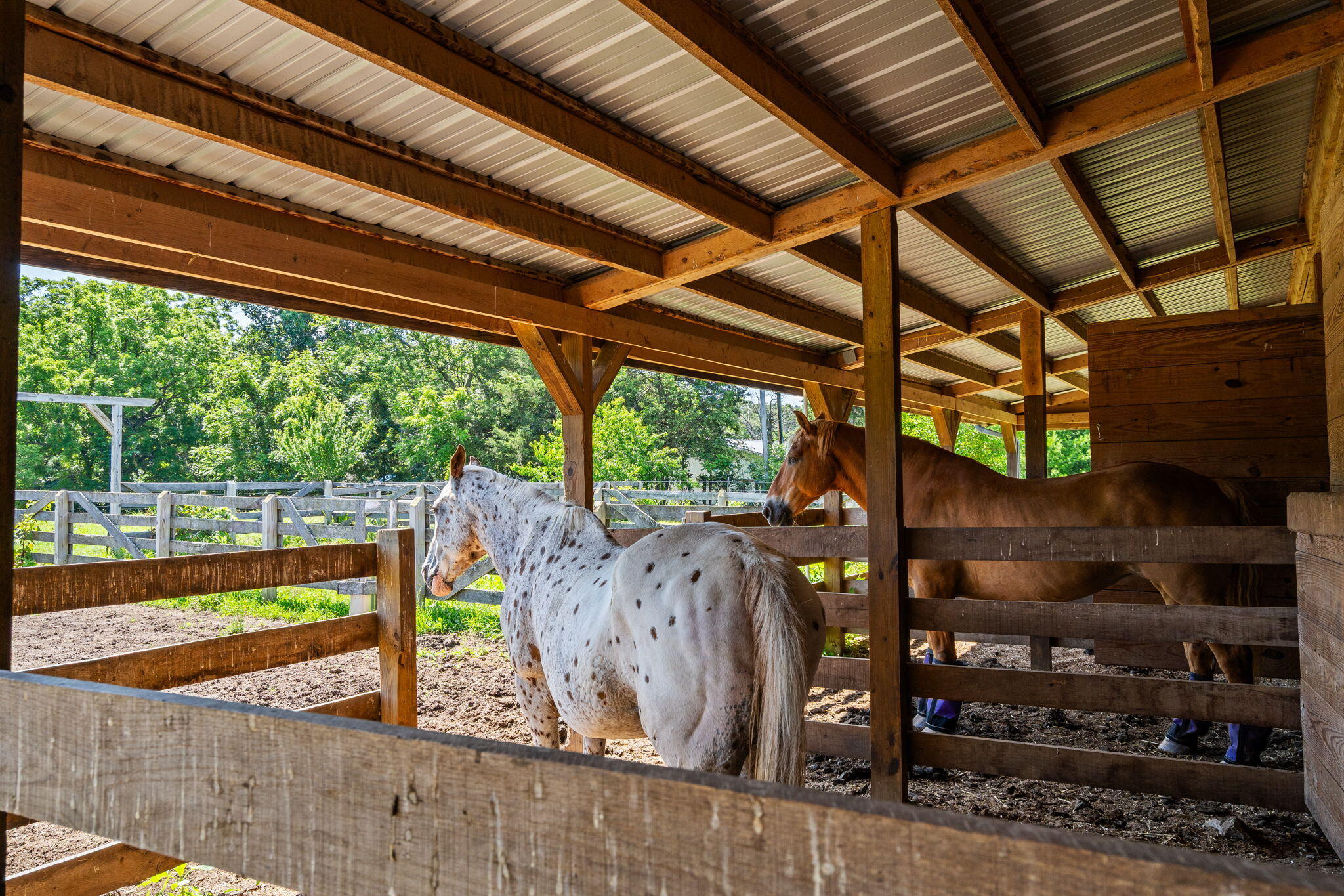 60327884 Property Photo 5