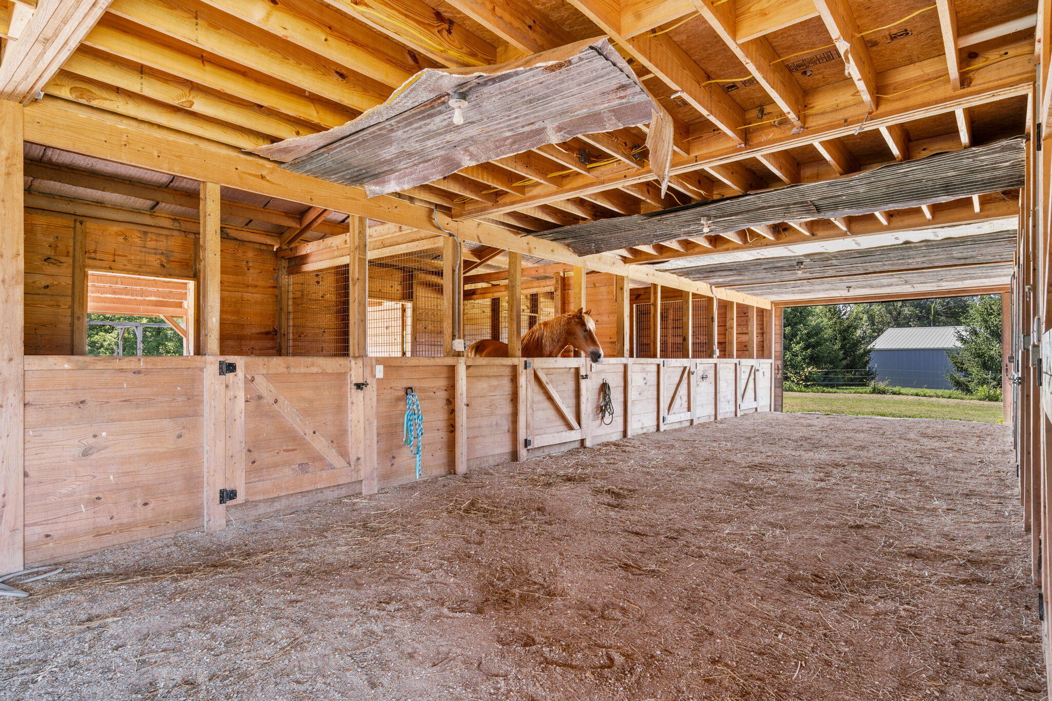 60327884 Property Photo 42