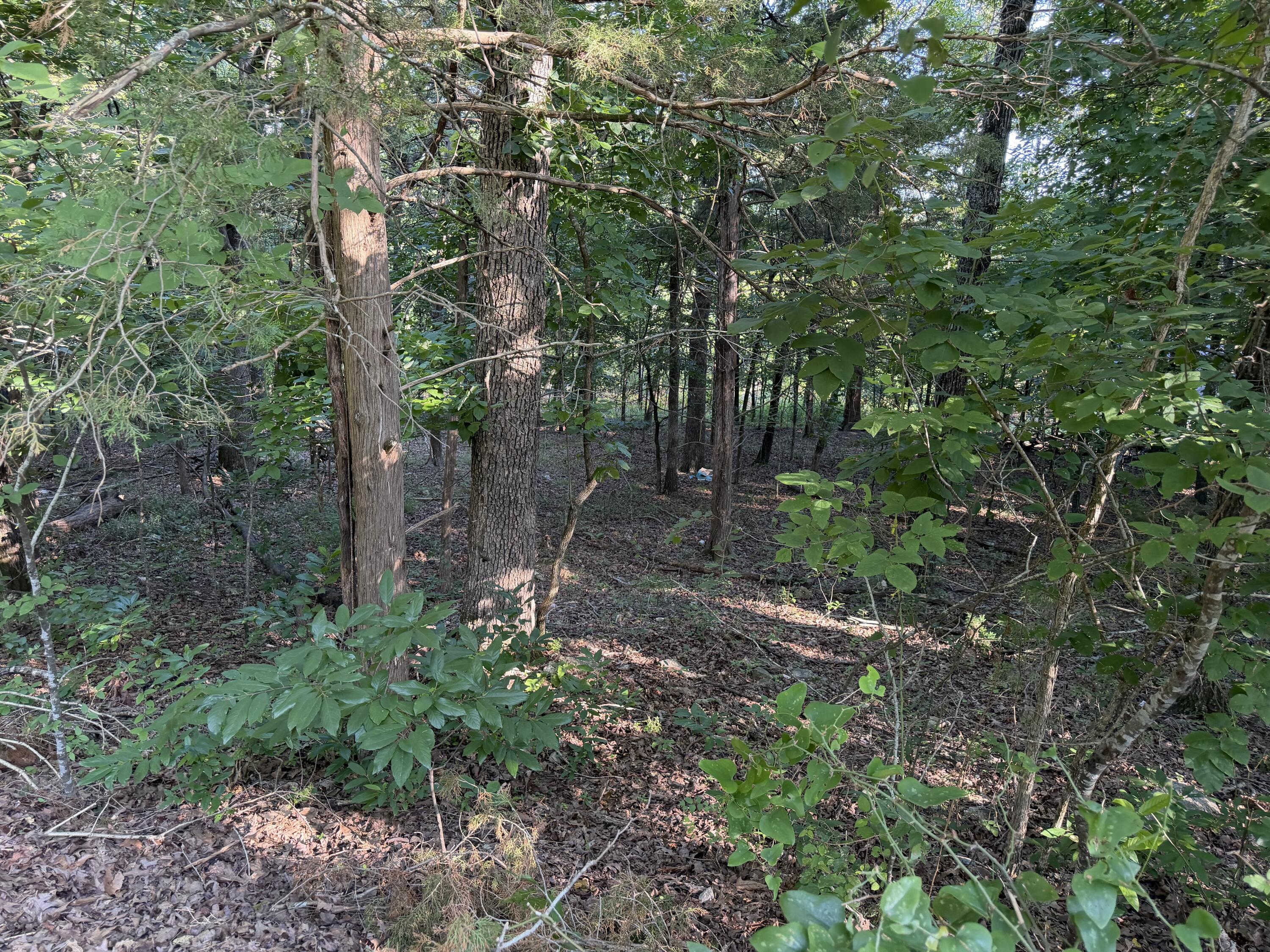 000 Cedar Lane Property Photo 2