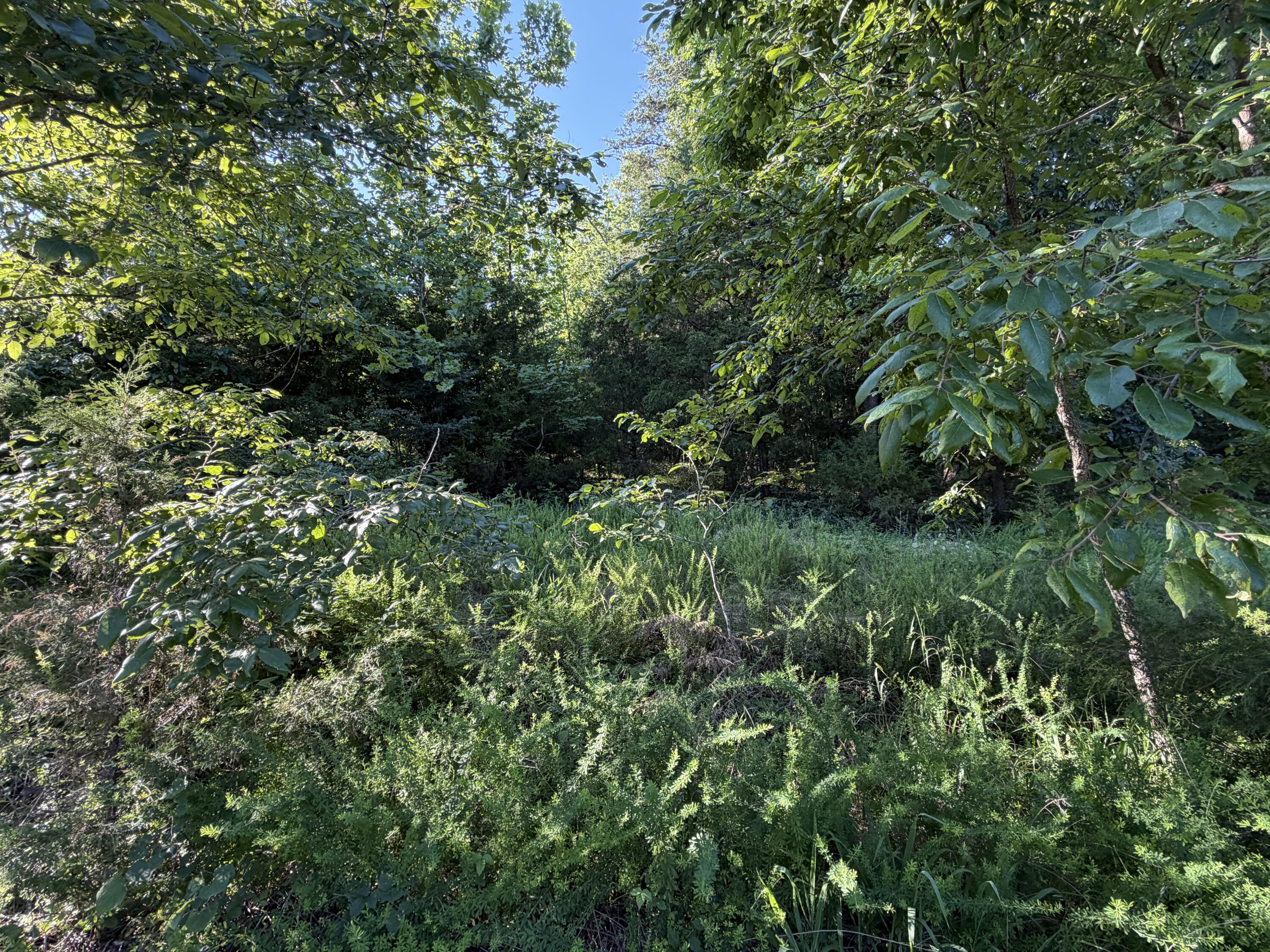 000 Wallace Drive Property Photo 3