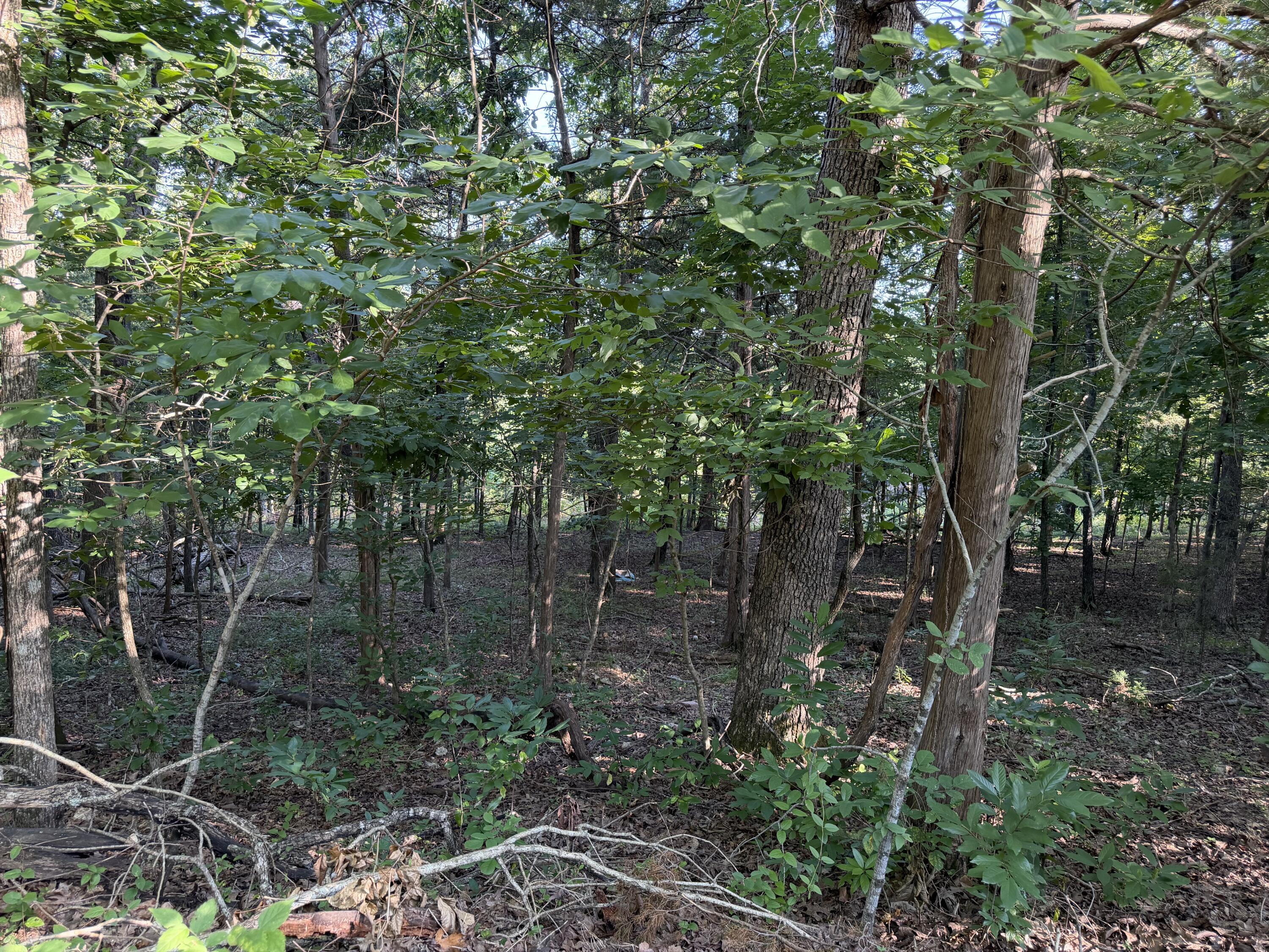 000 Wallace Drive Property Photo 7