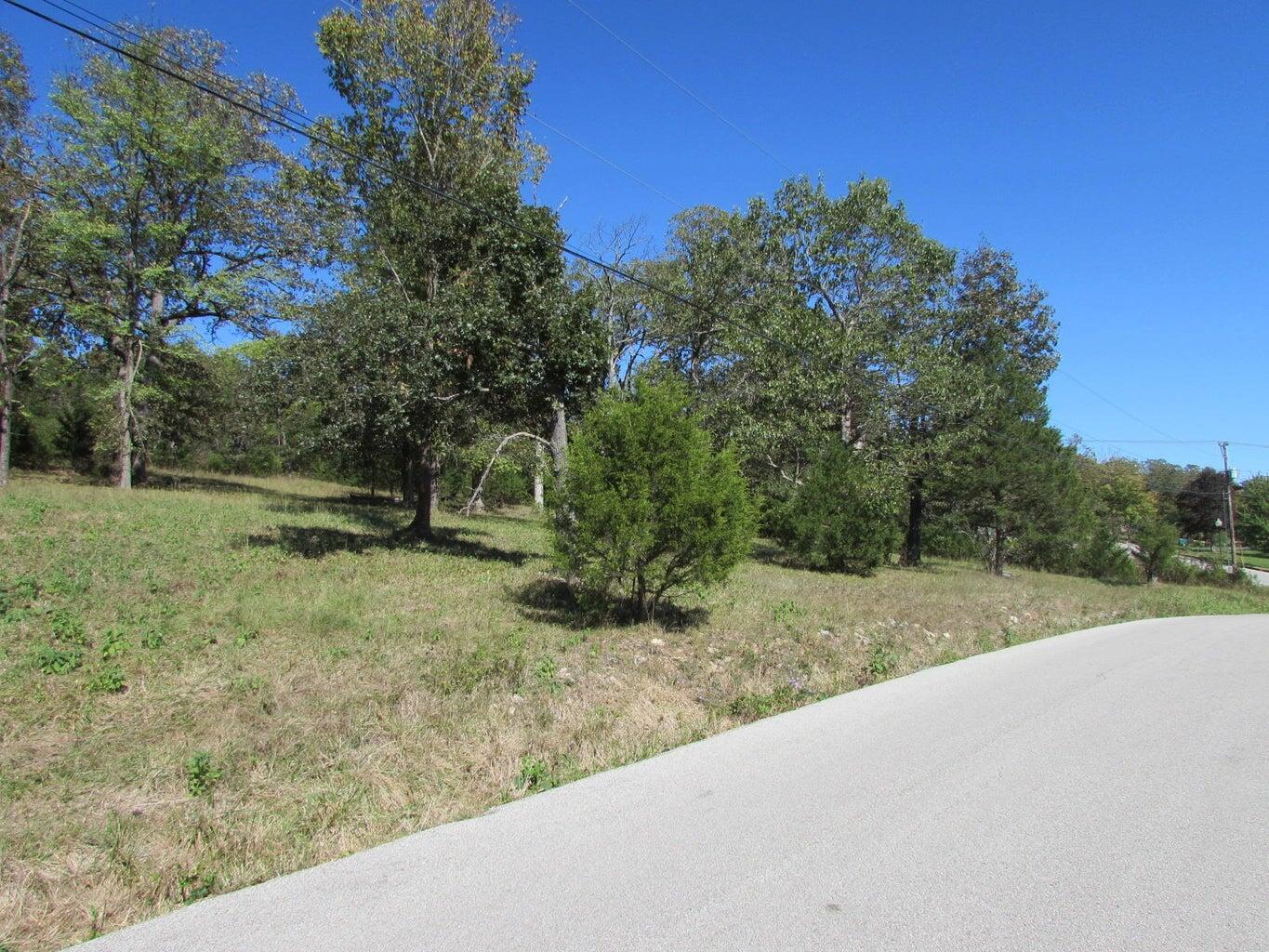 Tbd Green Briar Drive Property Photo 1