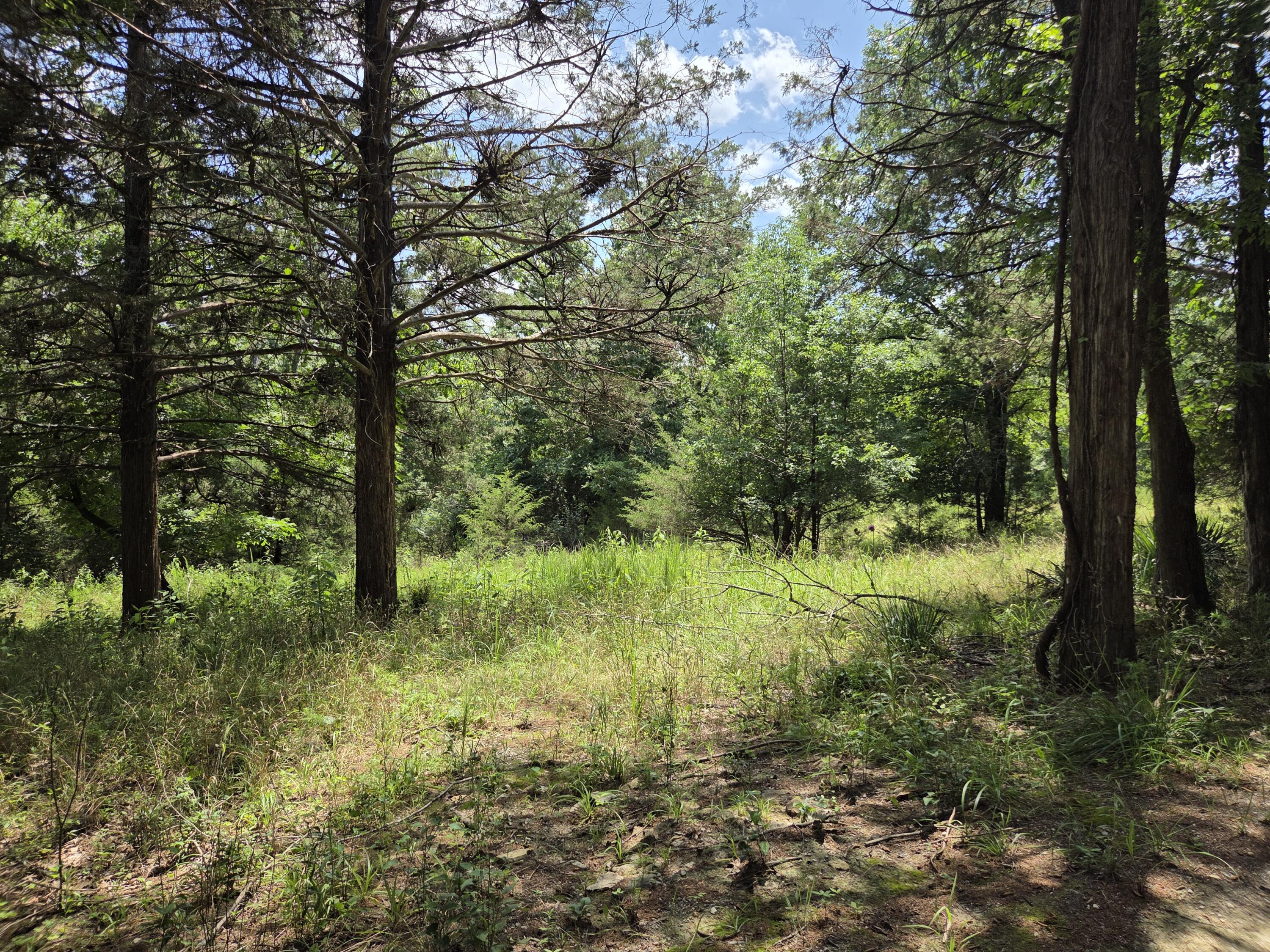 Tbd Green Briar Drive Property Photo 2