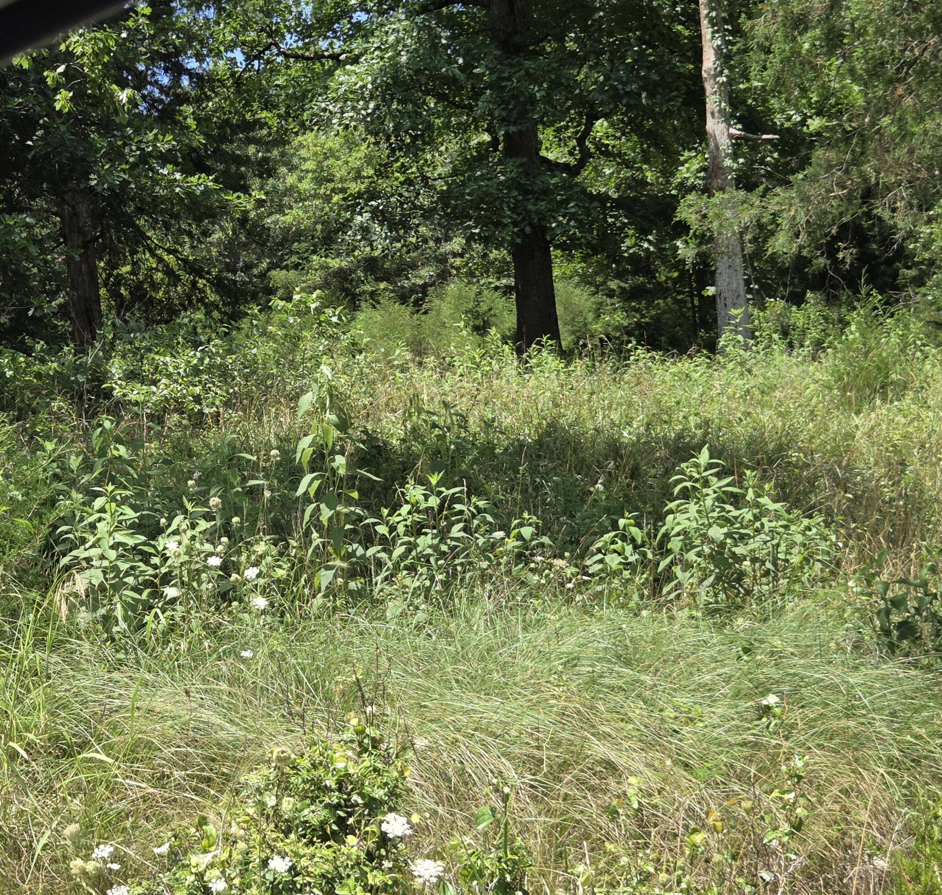 Tbd Green Briar Drive Property Photo 3