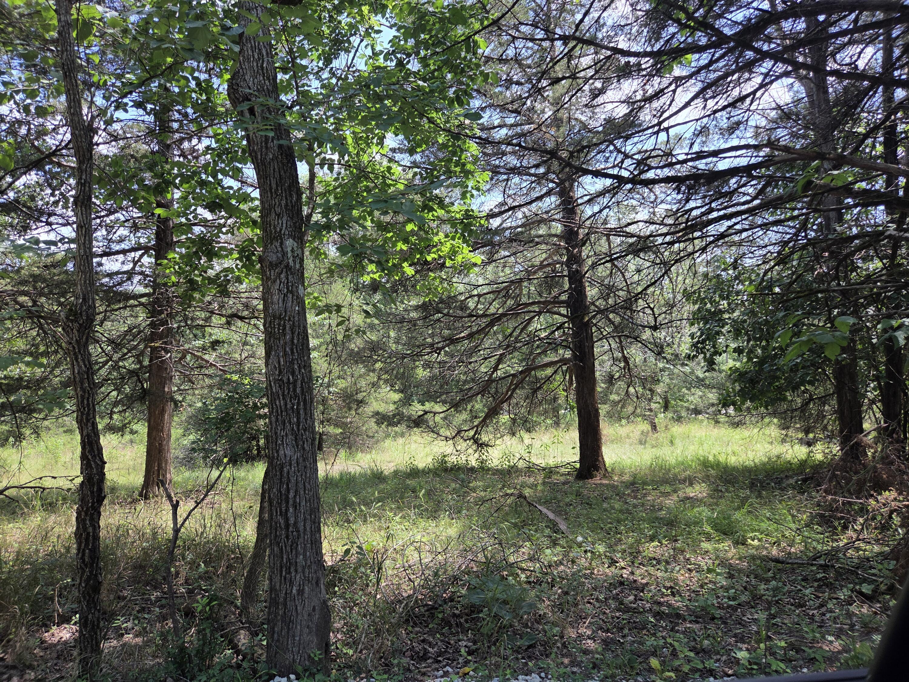 Tbd Green Briar Drive Property Photo 5