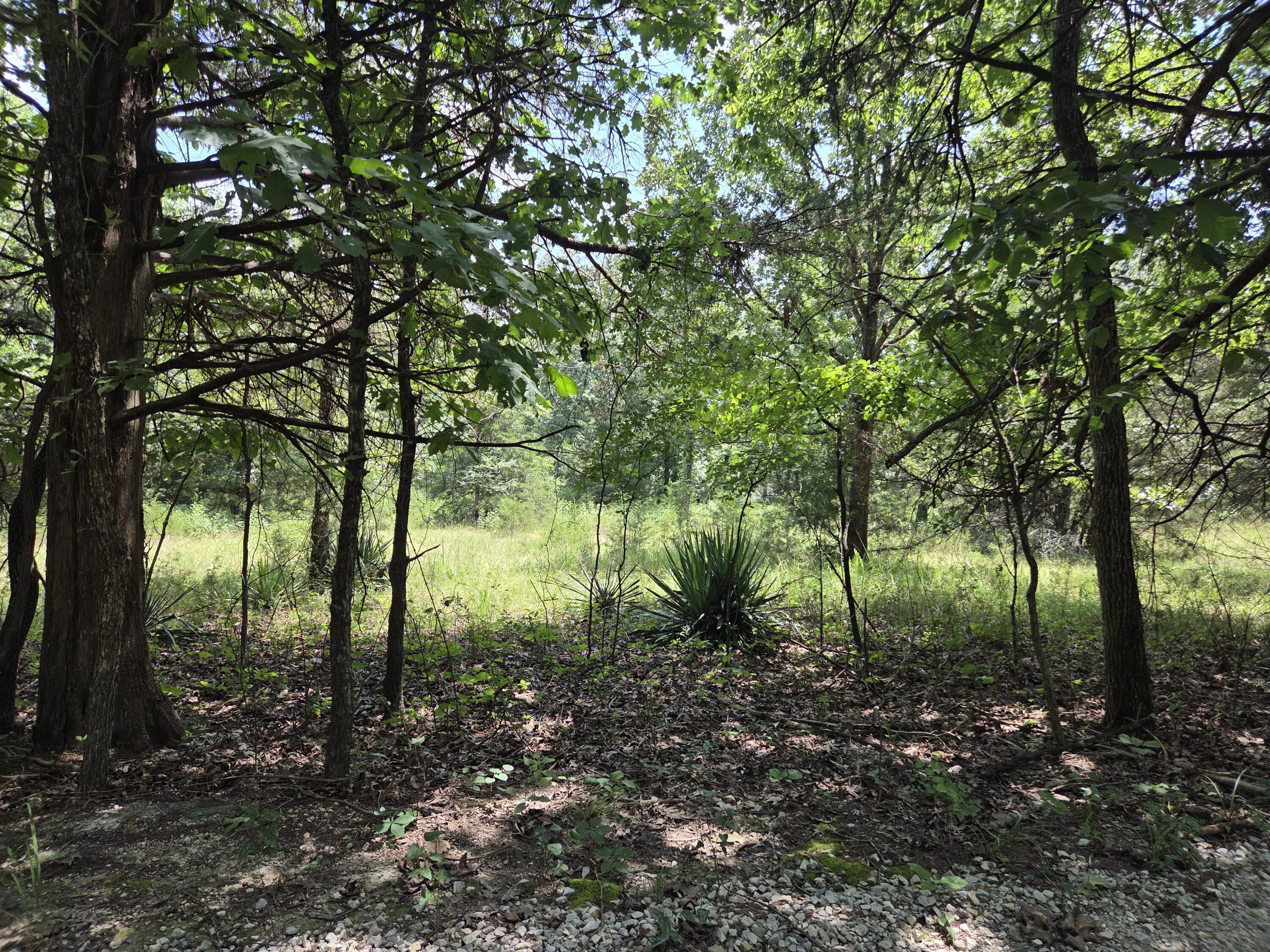 Tbd Green Briar Drive Property Photo 6