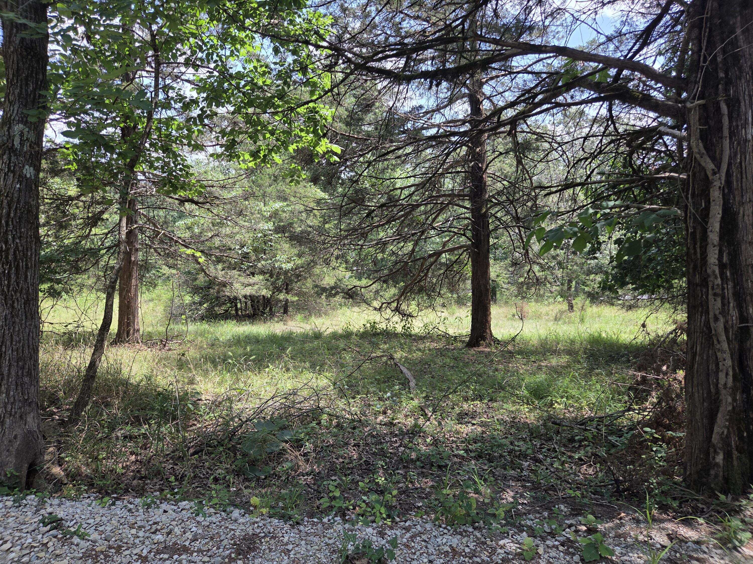 Tbd Green Briar Drive Property Photo 7