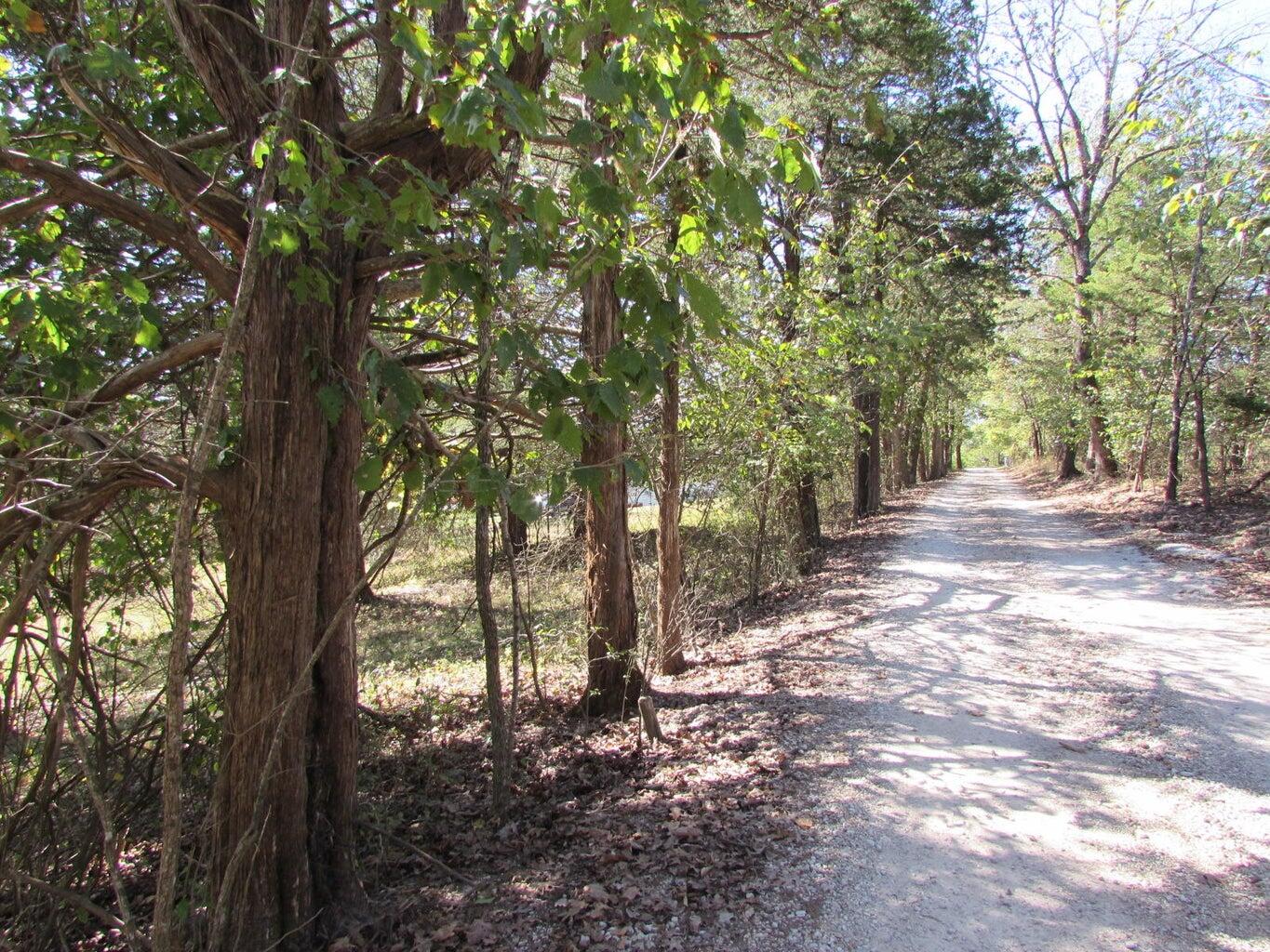 Tbd Green Briar Drive Property Photo 8