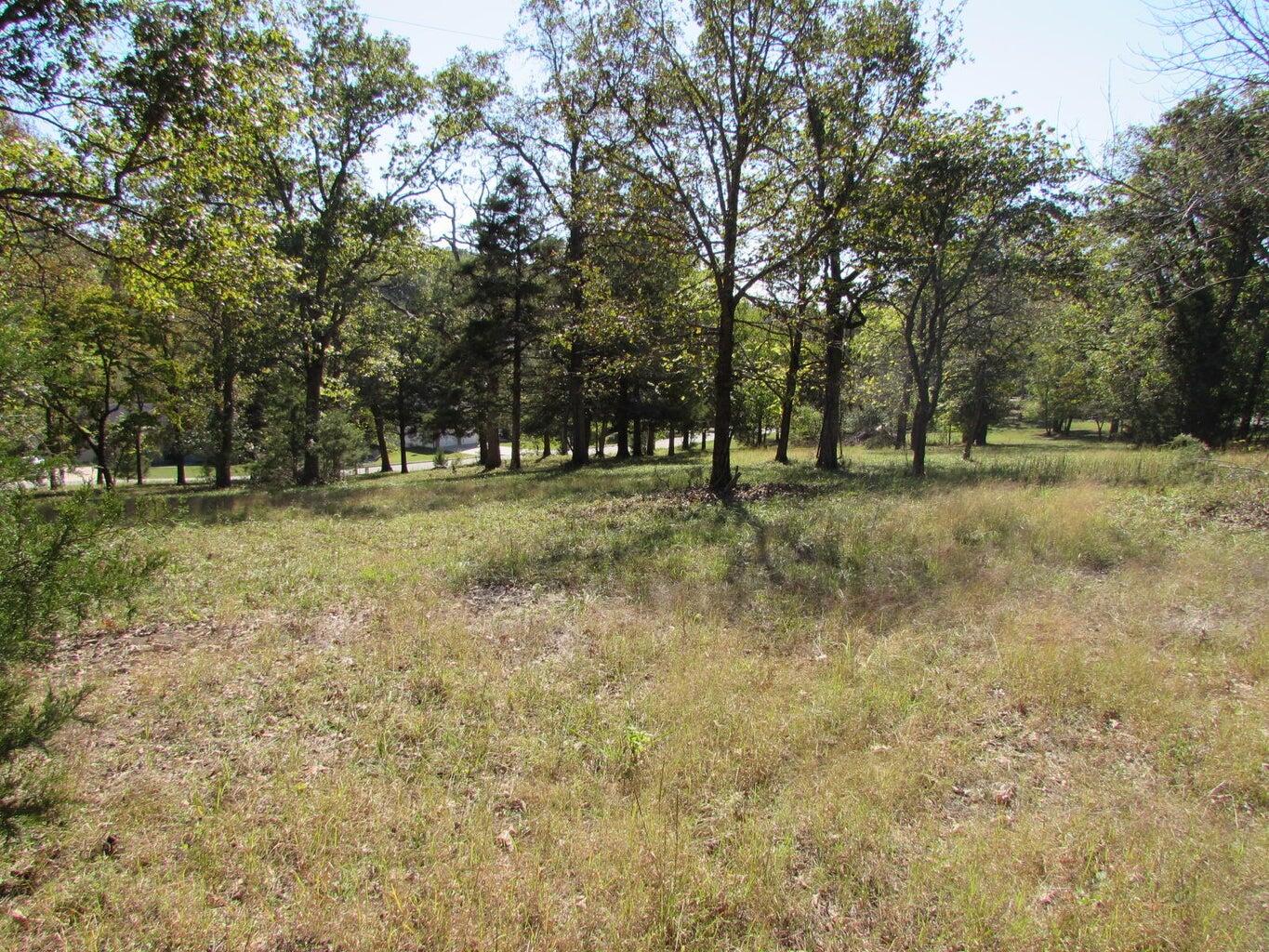 Tbd Green Briar Drive Property Photo 9