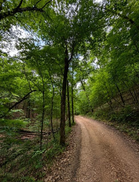 000 Oak Thicket Lane Property Photo 1