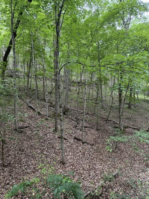 000 Oak Thicket Lane Property Photo 2