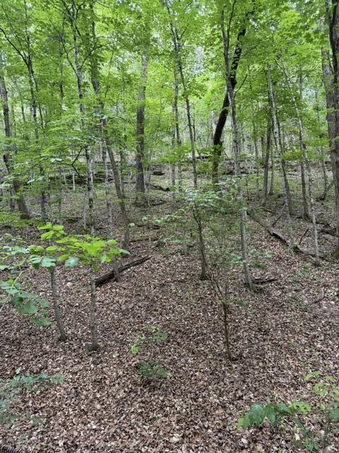 000 Oak Thicket Lane Property Photo 3