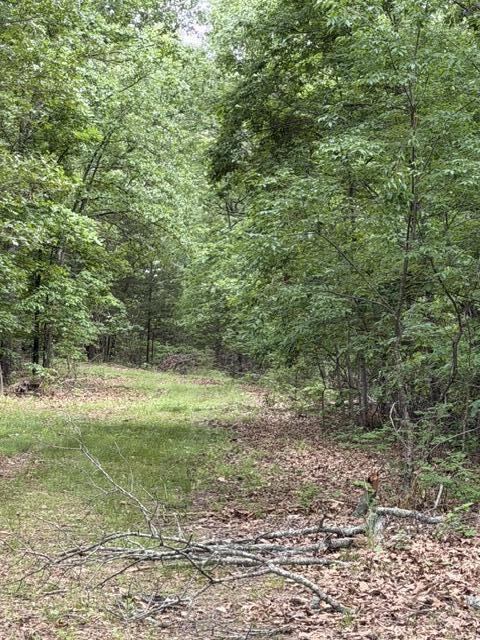 000 Oak Thicket Lane Property Photo 4