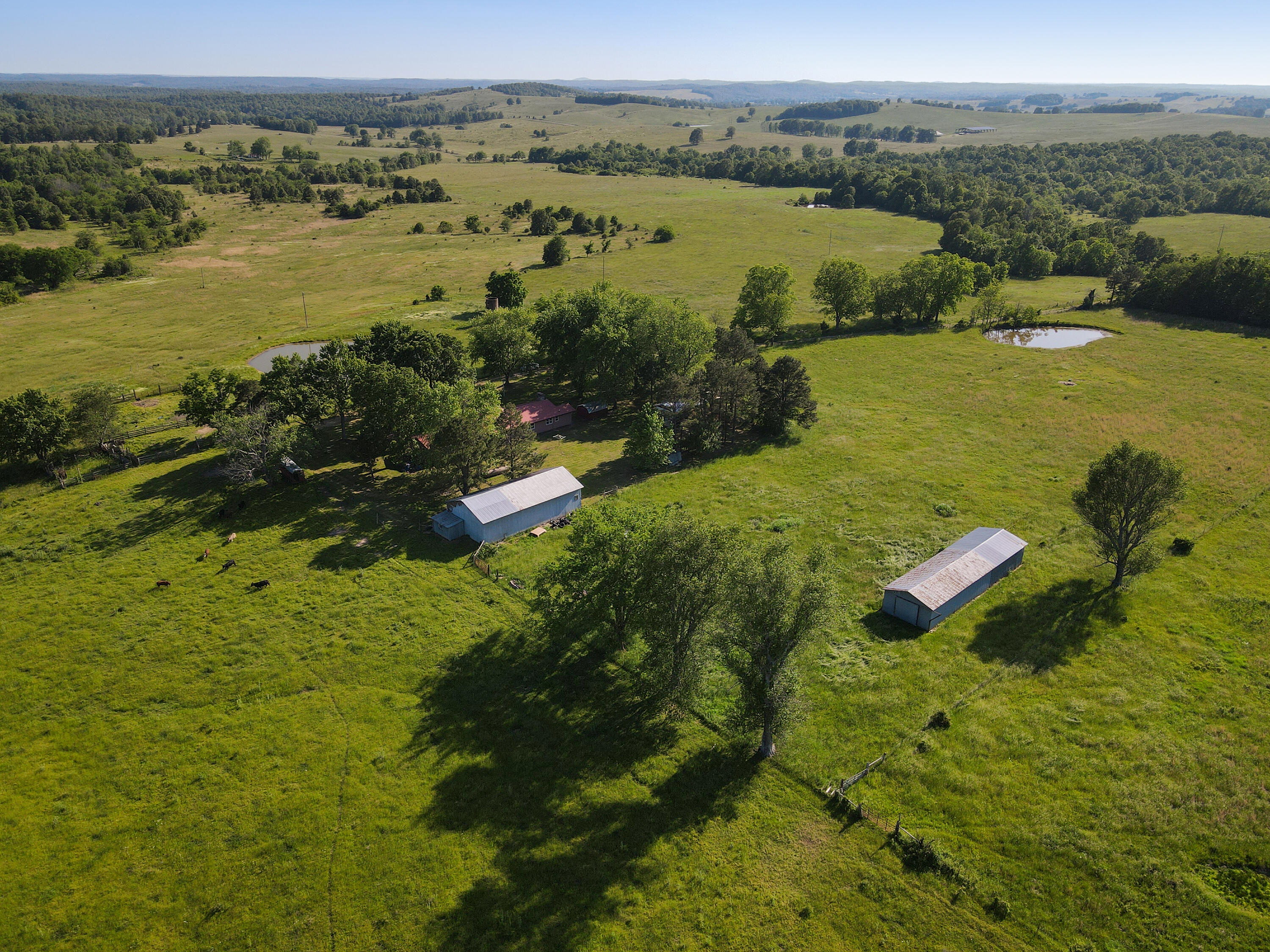 9593 County Road 9660 Property Photo 4