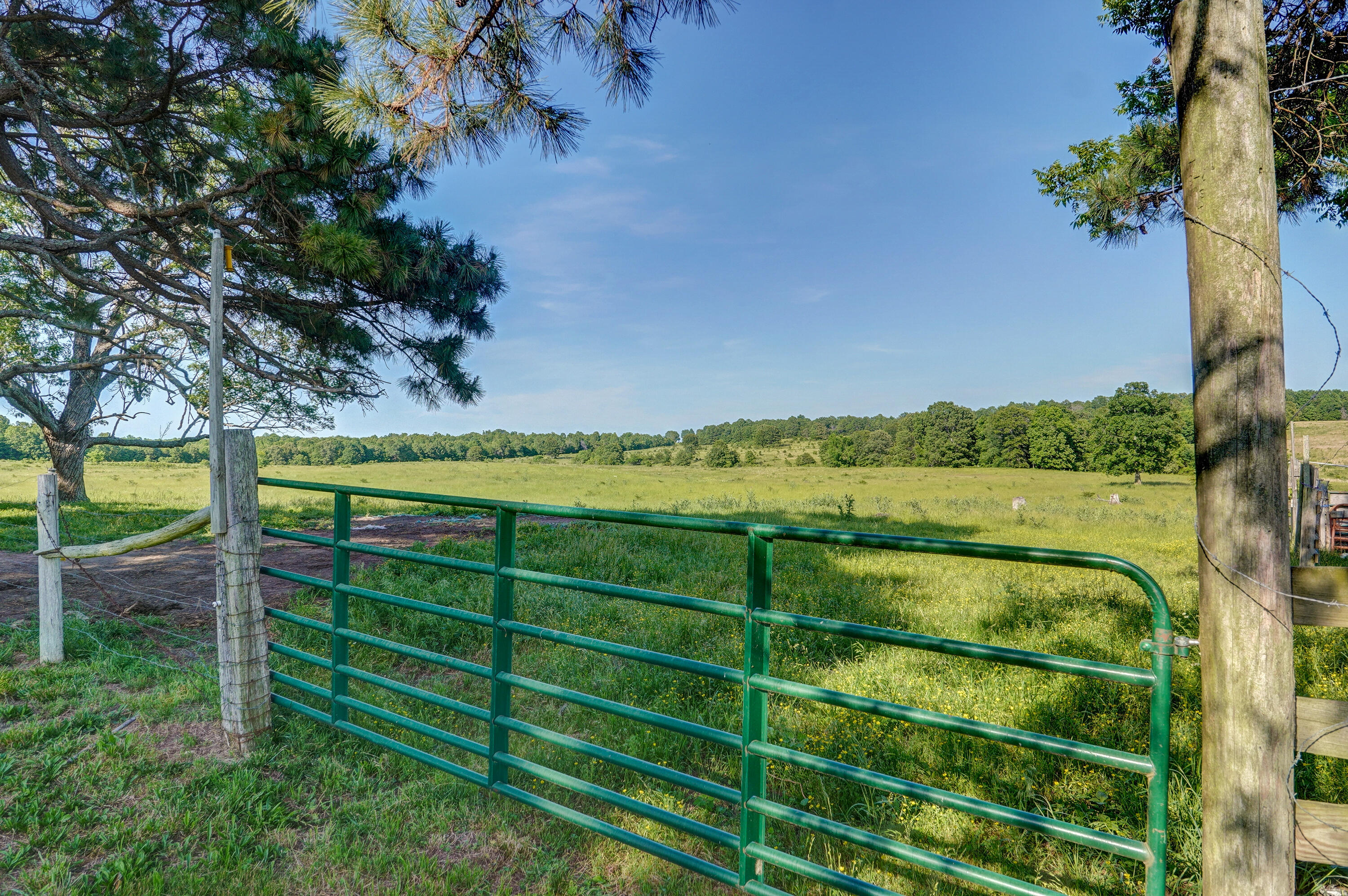 9593 County Road 9660 Property Photo 44