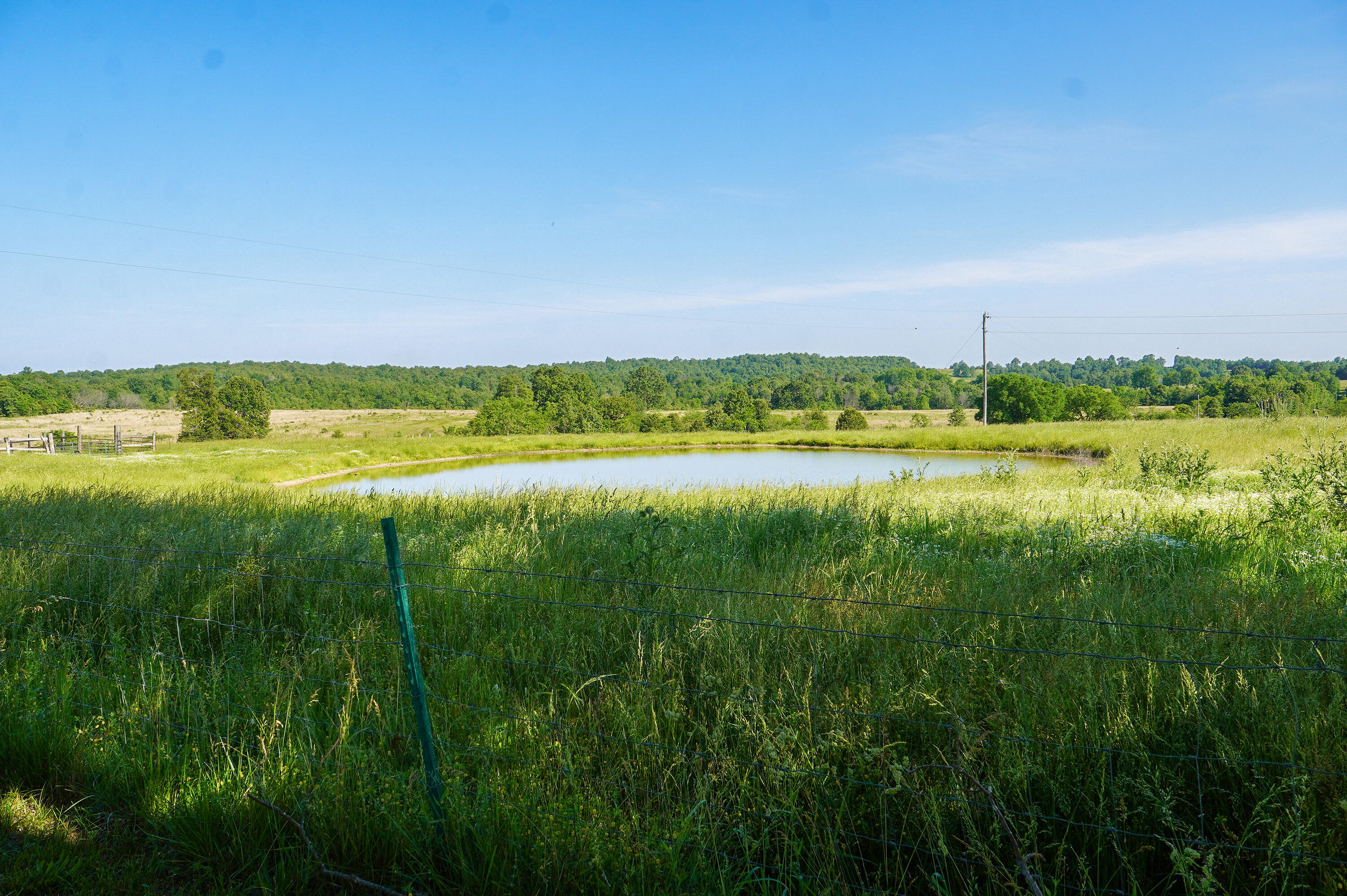 9593 County Road 9660 Property Photo 45