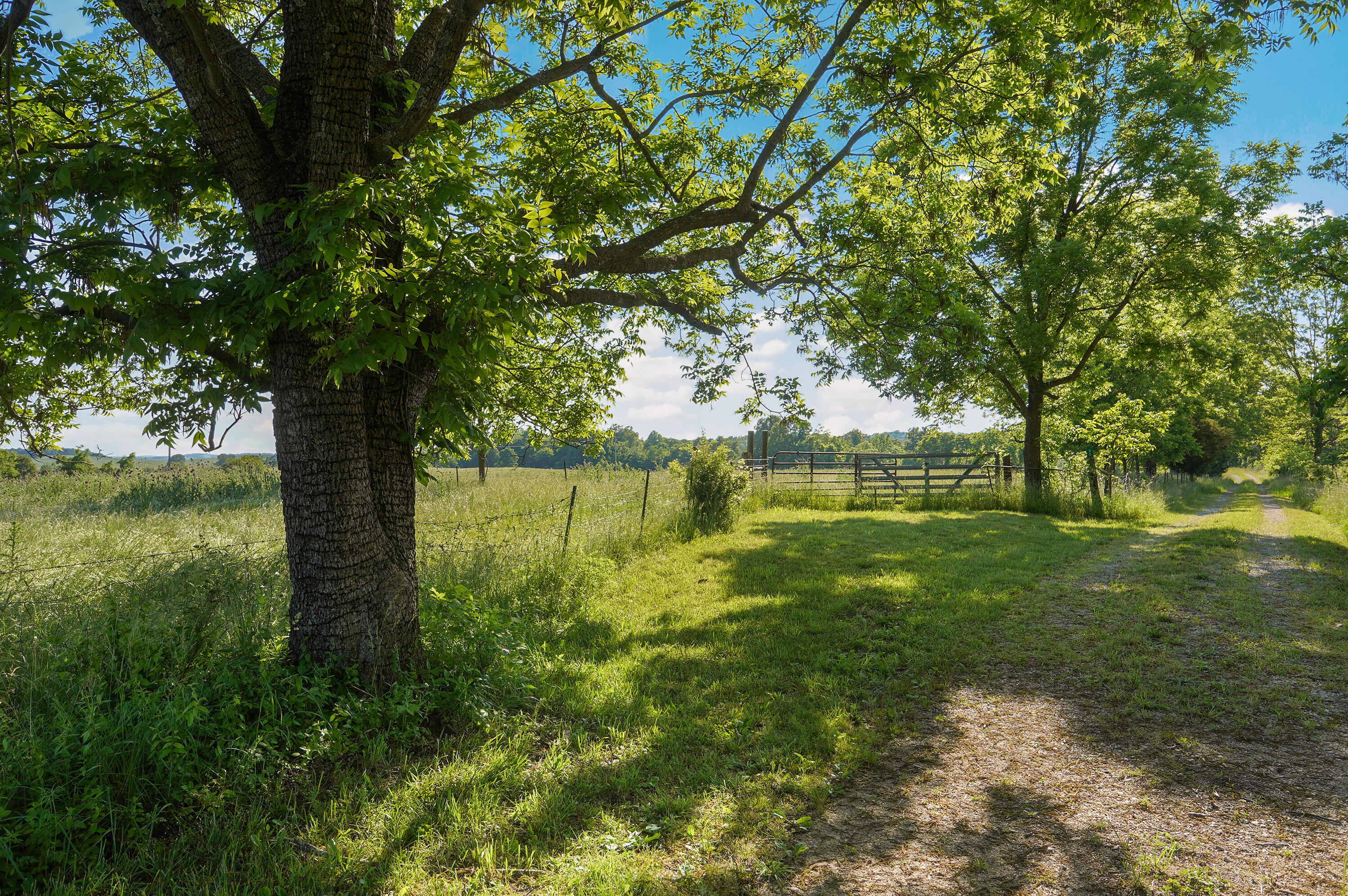 9593 County Road 9660 Property Photo 46