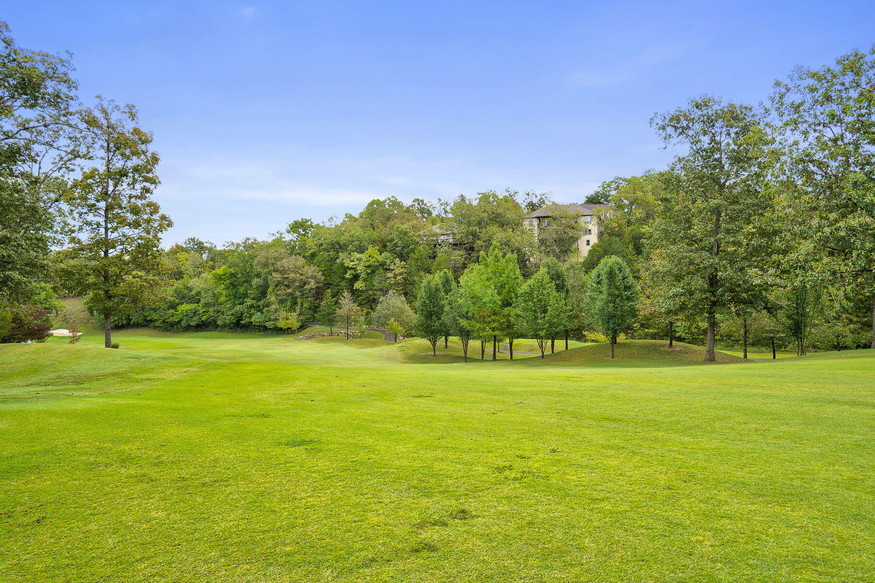 16 Limestone Drive Property Photo 45